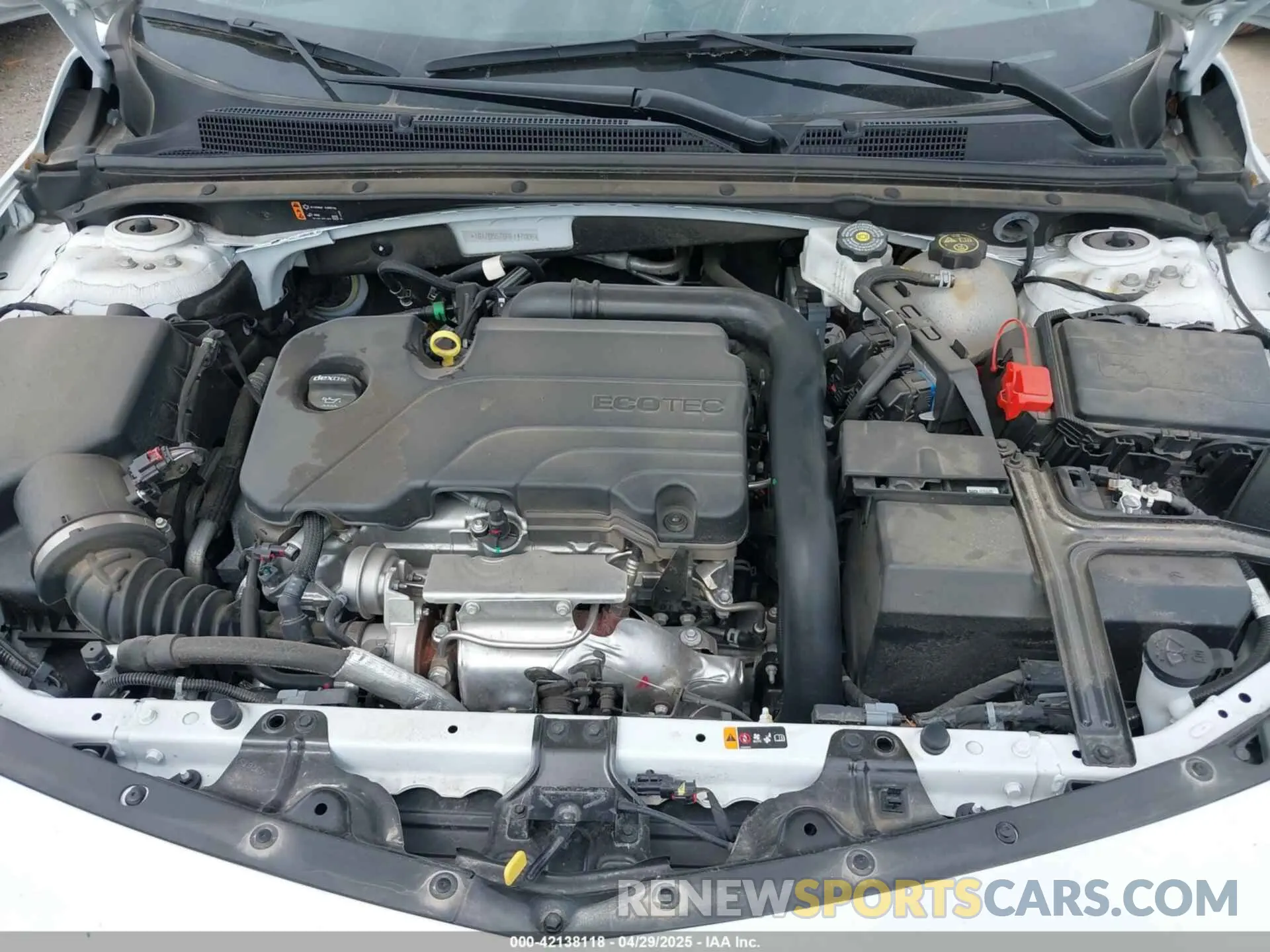 10 Photograph of a damaged car 1G1ZD5ST6RF147006 CHEVROLET MALIBU 2024