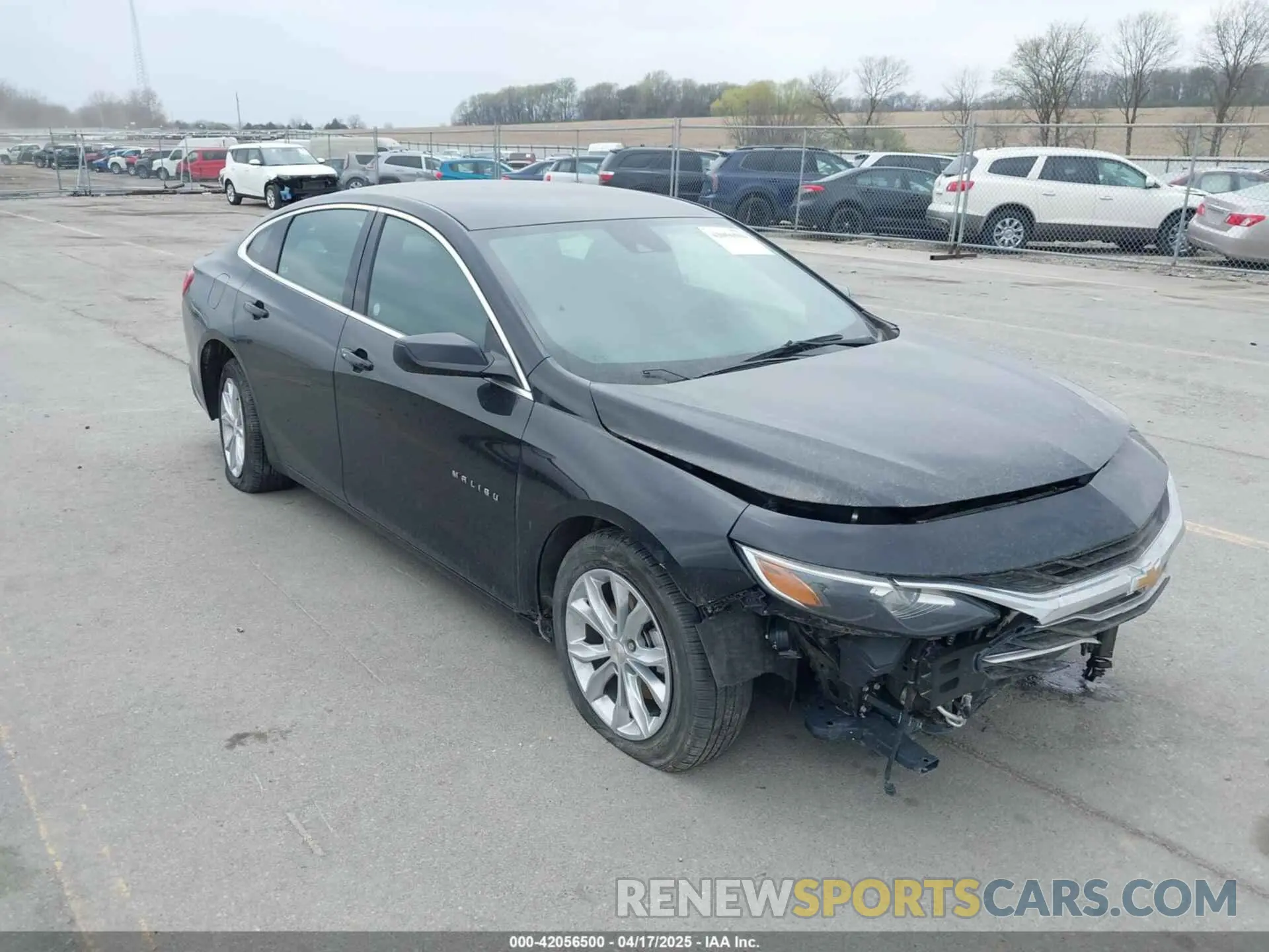 19 Photograph of a damaged car 1G1ZD5ST6RF175503 CHEVROLET MALIBU 2024