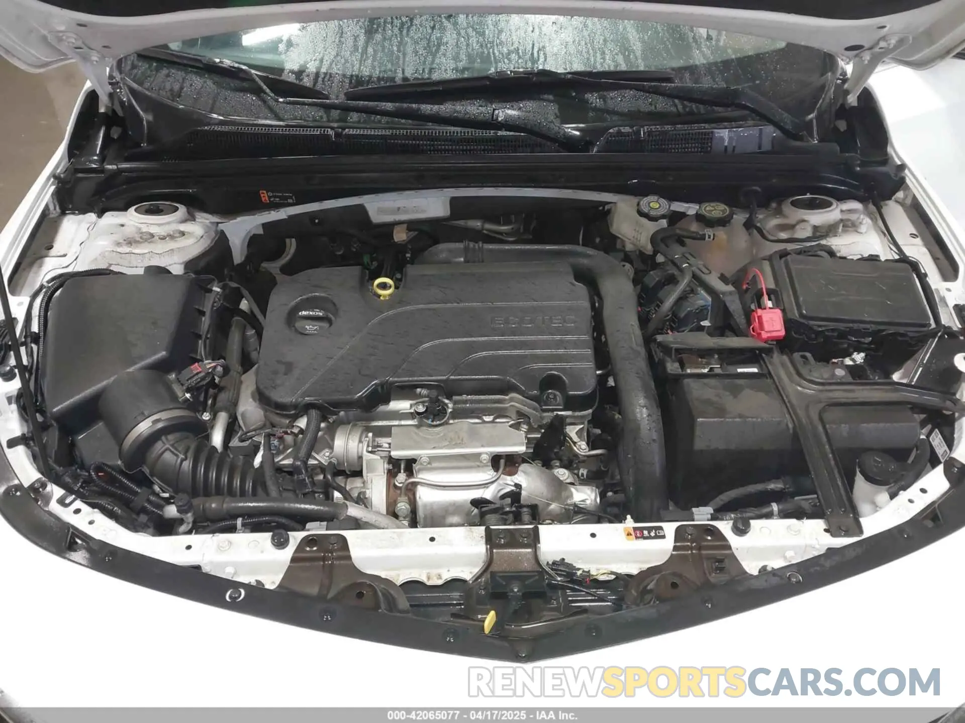 10 Photograph of a damaged car 1G1ZD5ST6RF182029 CHEVROLET MALIBU 2024