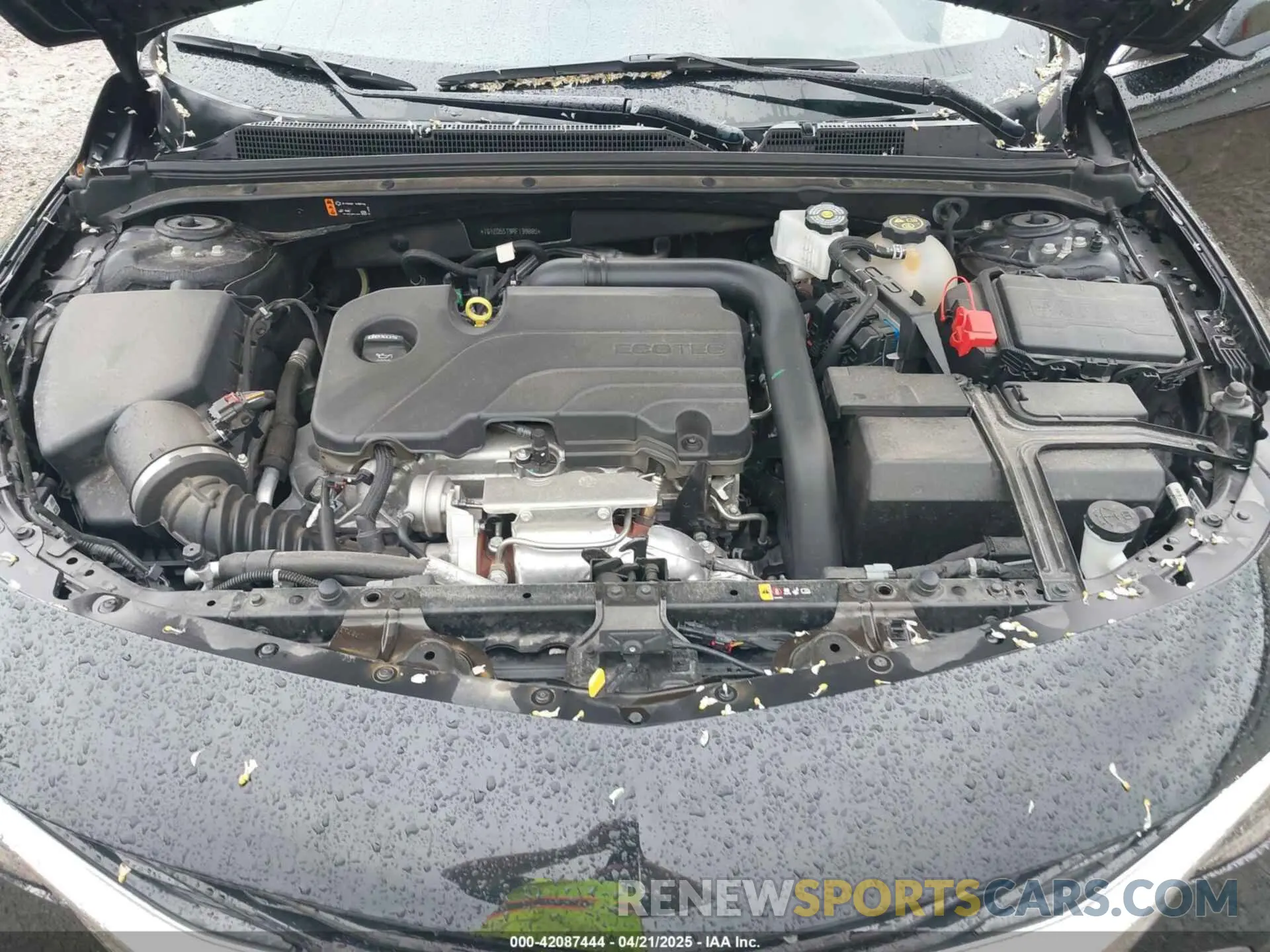 10 Photograph of a damaged car 1G1ZD5ST9RF139885 CHEVROLET MALIBU 2024