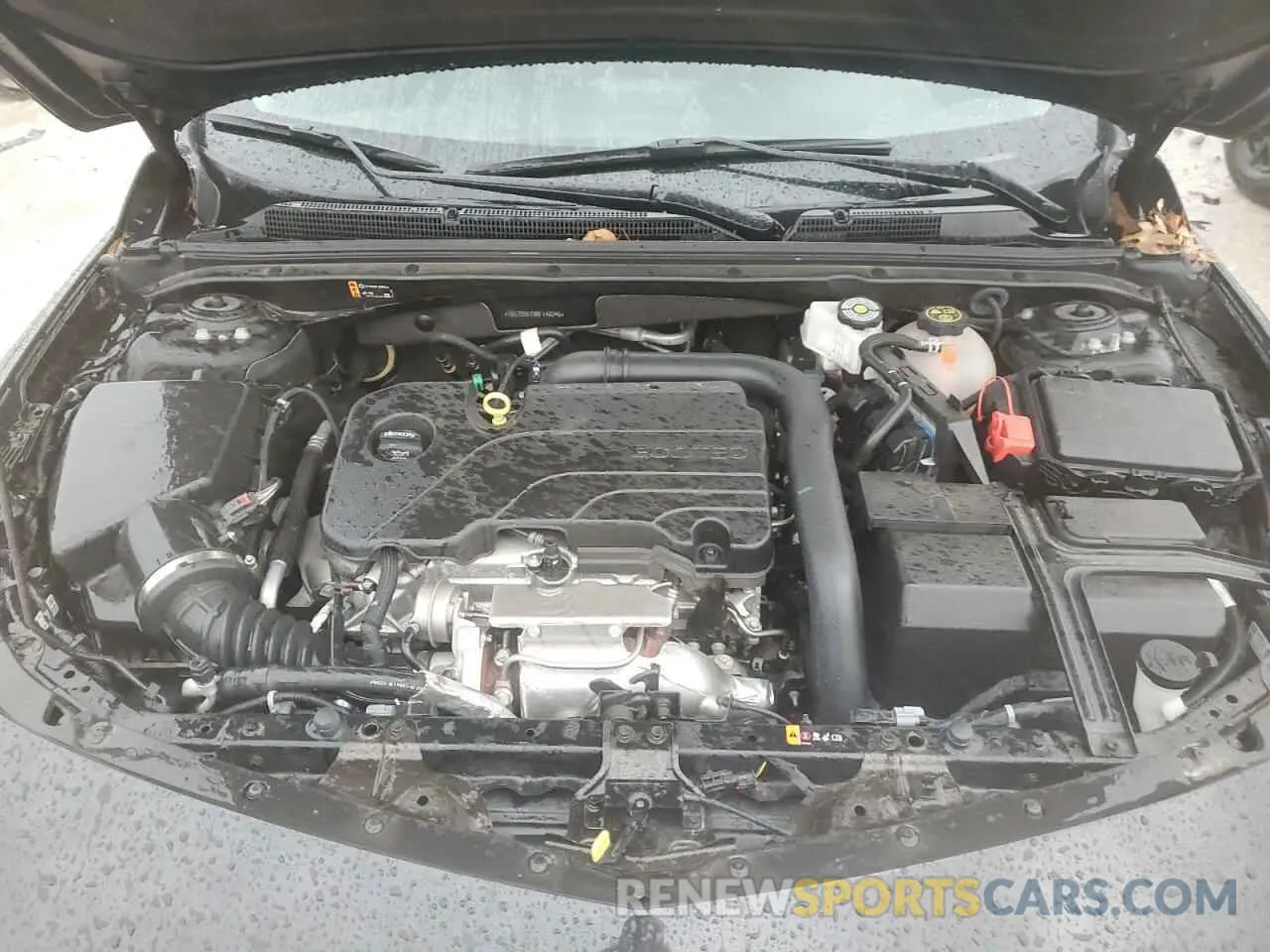 11 Photograph of a damaged car 1G1ZD5ST9RF148246 CHEVROLET MALIBU 2024
