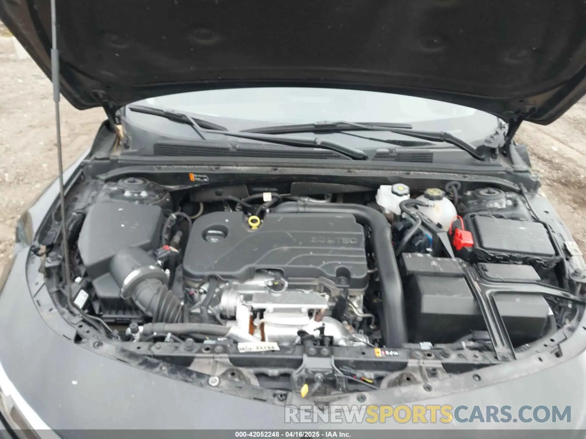 10 Photograph of a damaged car 1G1ZD5ST9RF151034 CHEVROLET MALIBU 2024