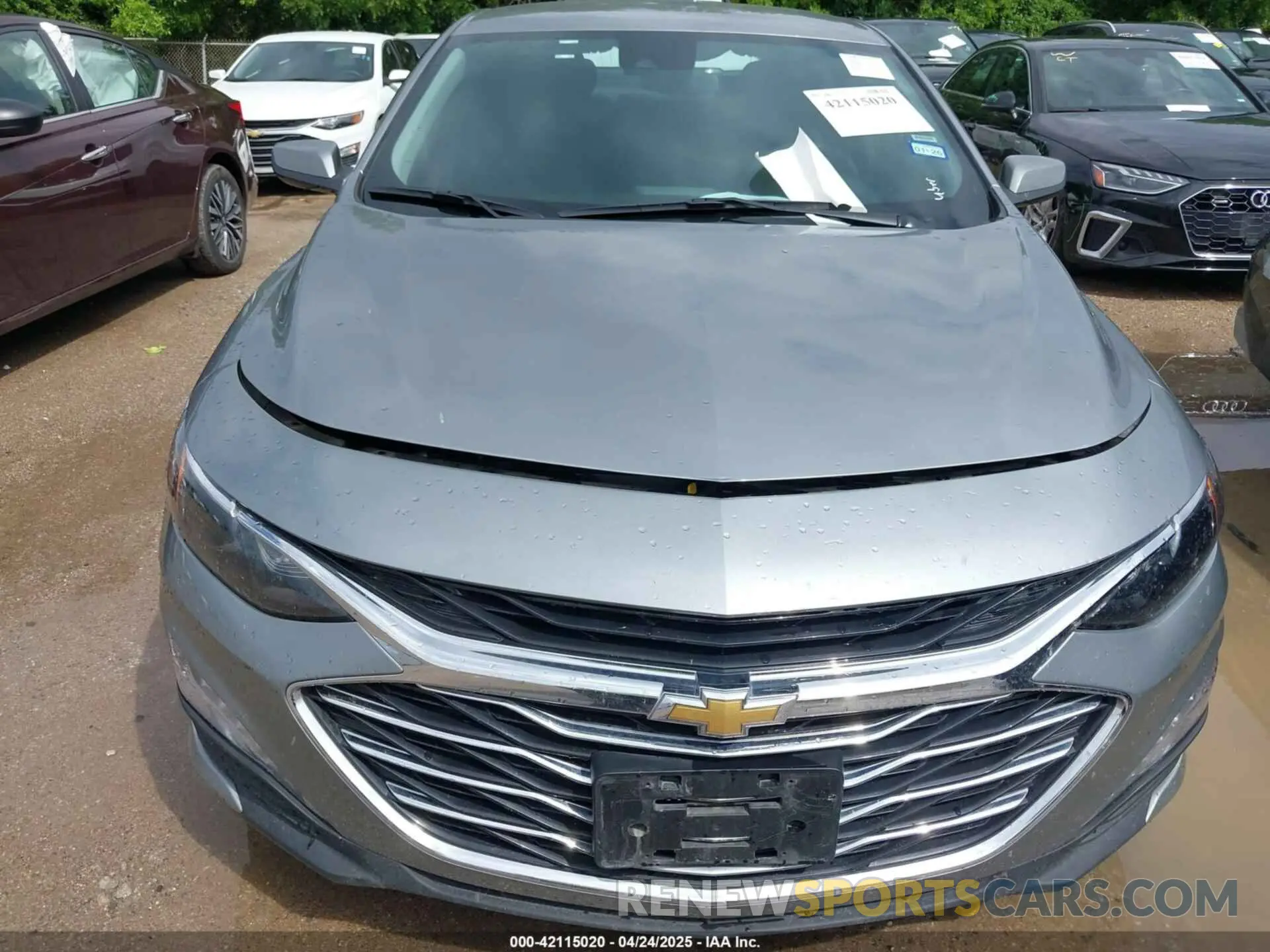 12 Photograph of a damaged car 1G1ZD5ST9RF161255 CHEVROLET MALIBU 2024