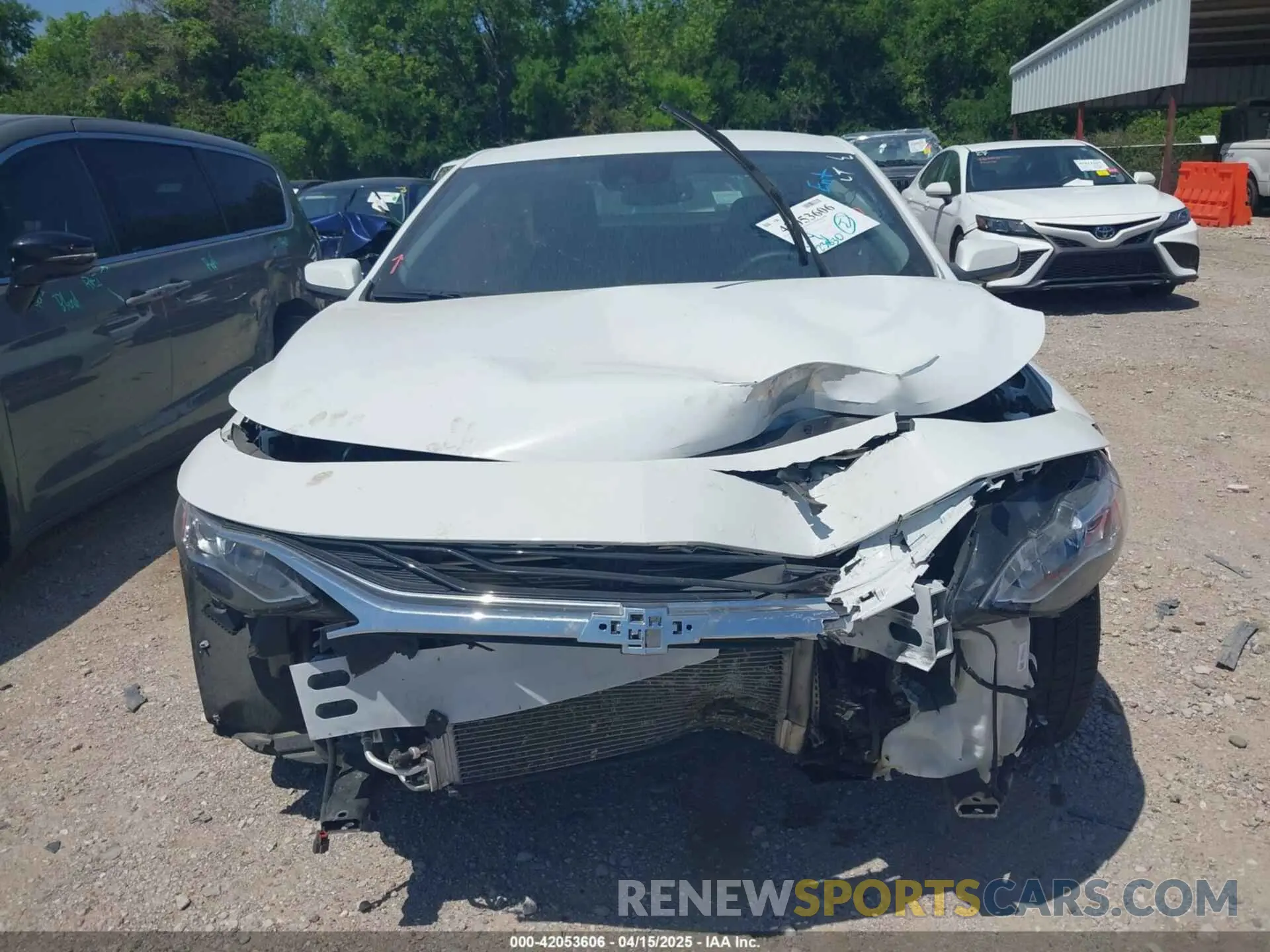 12 Photograph of a damaged car 1G1ZE5ST1RF188902 CHEVROLET MALIBU 2024