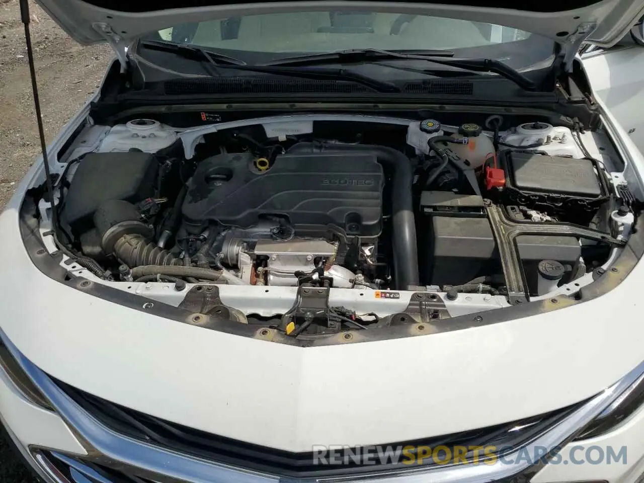 11 Photograph of a damaged car 1G1ZE5ST9RF124381 CHEVROLET MALIBU 2024