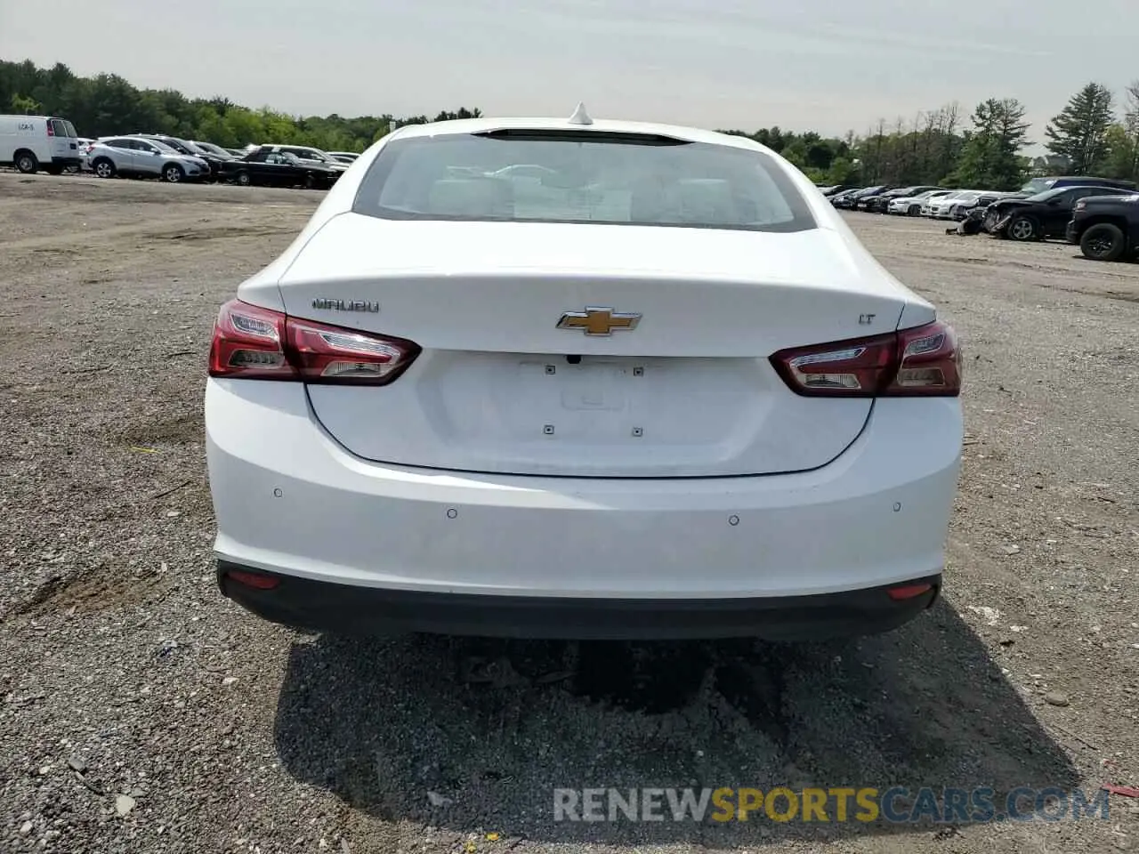 6 Photograph of a damaged car 1G1ZE5ST9RF124381 CHEVROLET MALIBU 2024