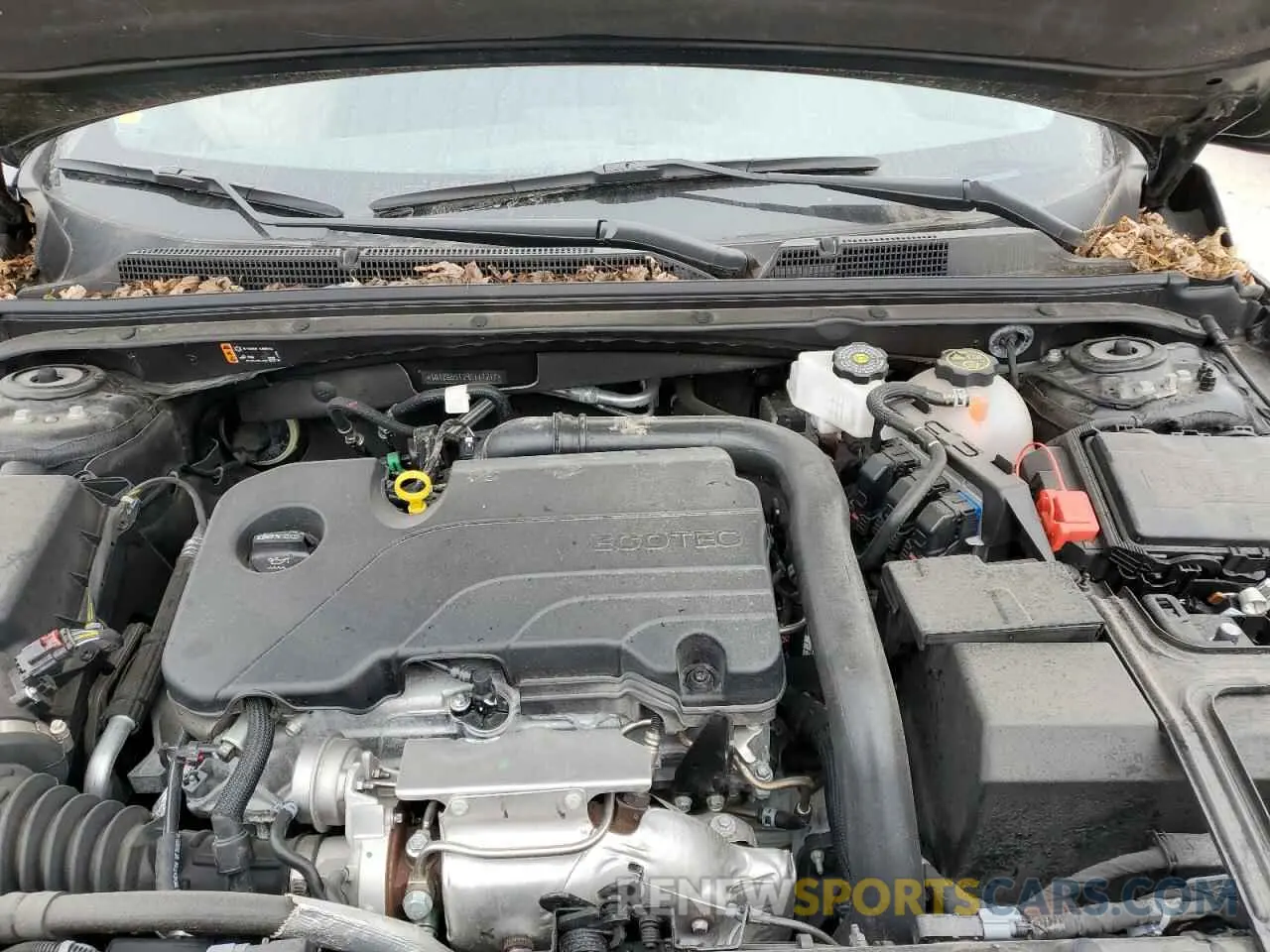 12 Photograph of a damaged car 1G1ZG5ST2RF117217 CHEVROLET MALIBU 2024