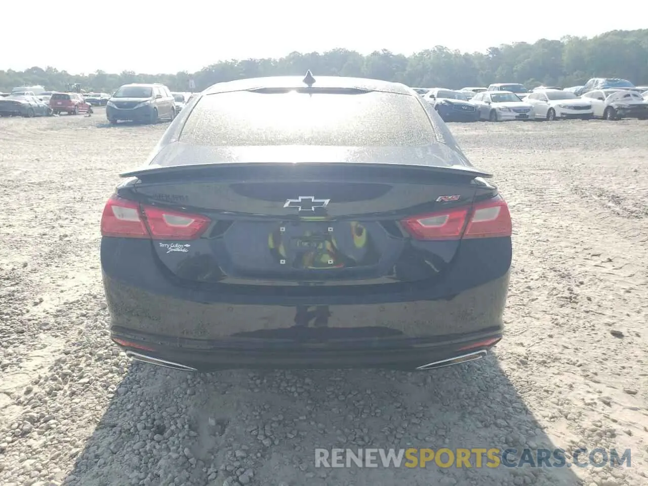 6 Photograph of a damaged car 1G1ZG5ST3RF237799 CHEVROLET MALIBU 2024