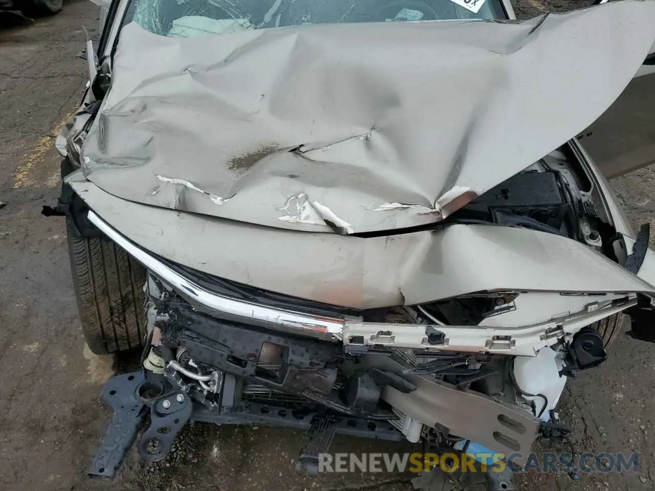 11 Photograph of a damaged car 1G1ZG5ST6RF188307 CHEVROLET MALIBU 2024