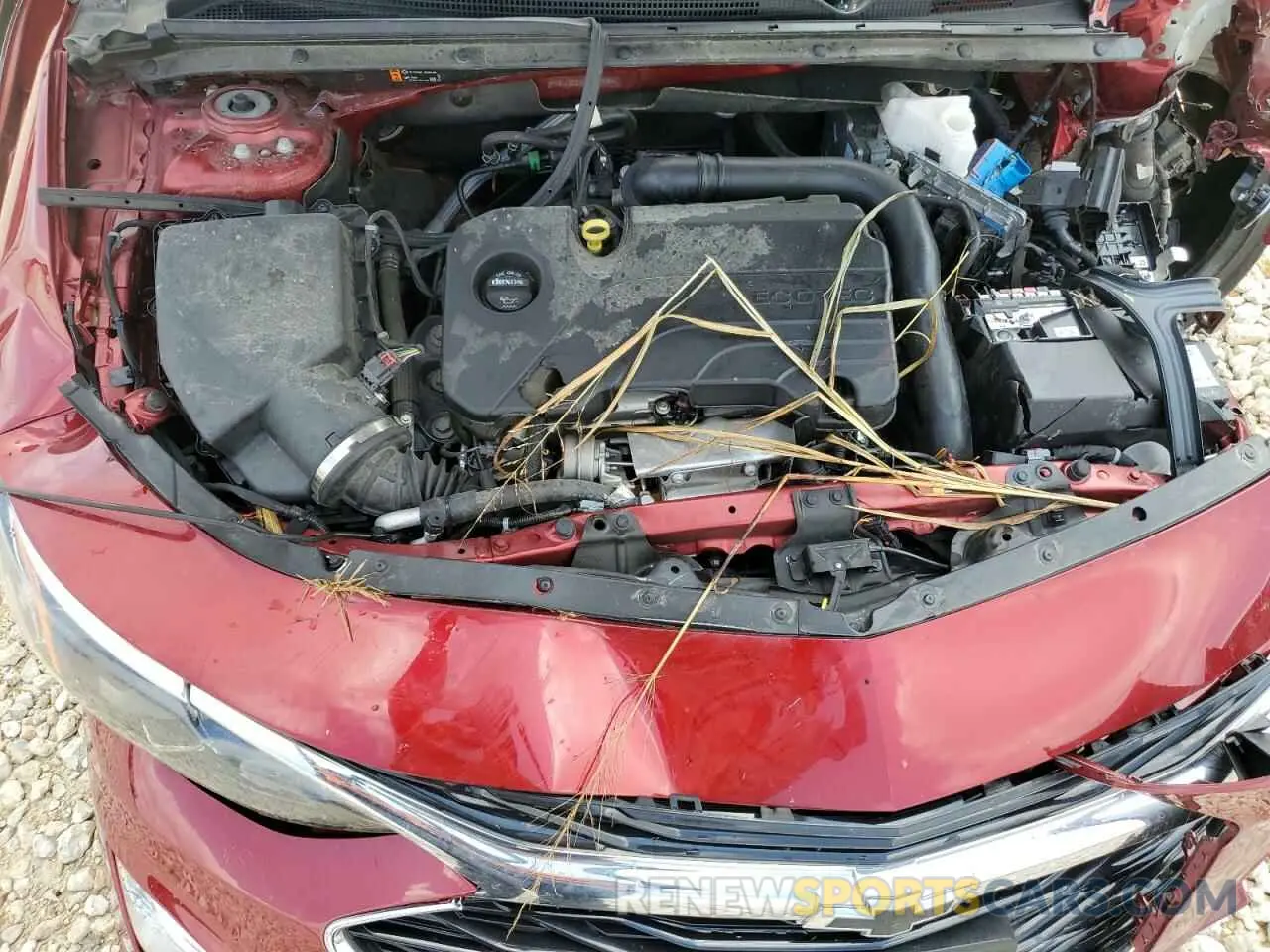 12 Photograph of a damaged car 1G1ZG5ST7RF104494 CHEVROLET MALIBU 2024