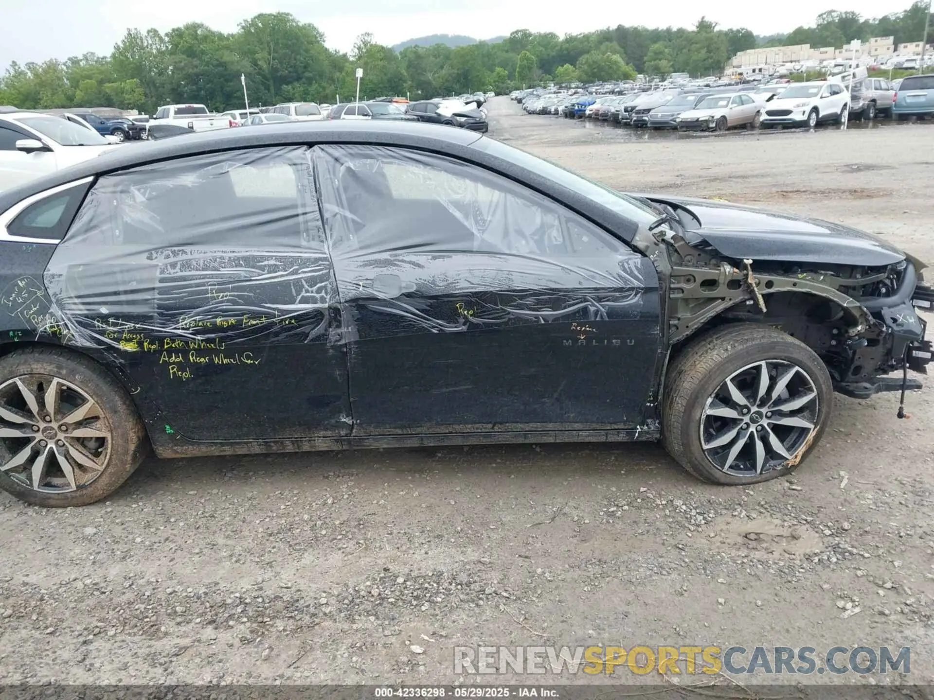 13 Photograph of a damaged car 1G1ZG5ST8RF149542 CHEVROLET MALIBU 2024