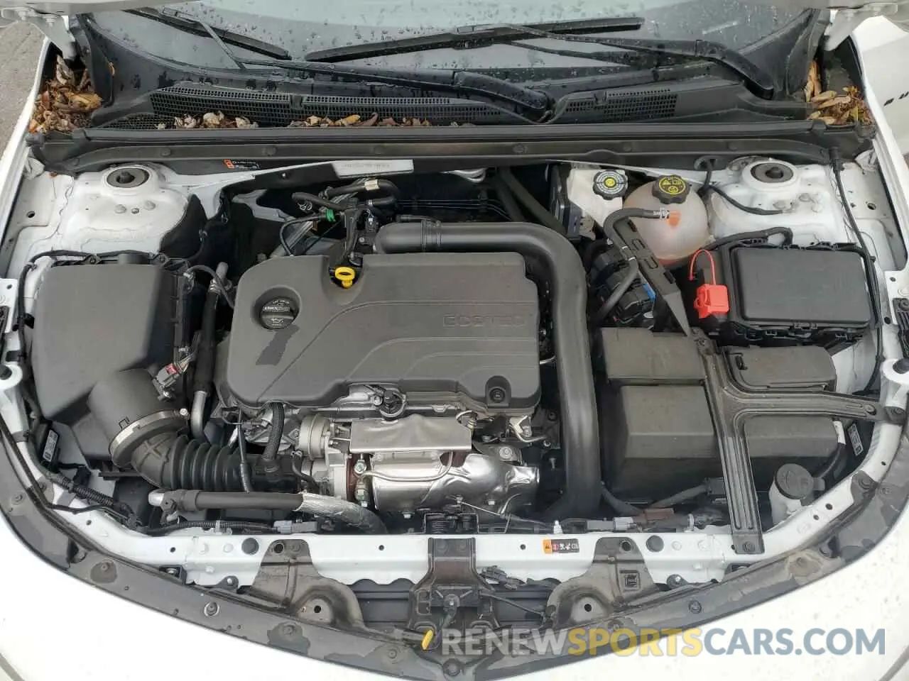 11 Photograph of a damaged car 1G1ZG5STXRF159361 CHEVROLET MALIBU 2024