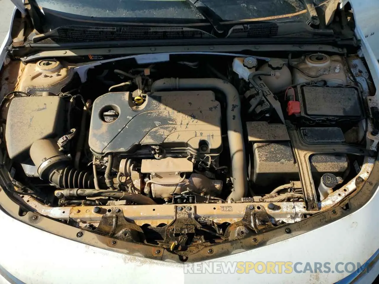 11 Photograph of a damaged car 1G1ZD5ST7SF127949 CHEVROLET MALIBU 2025