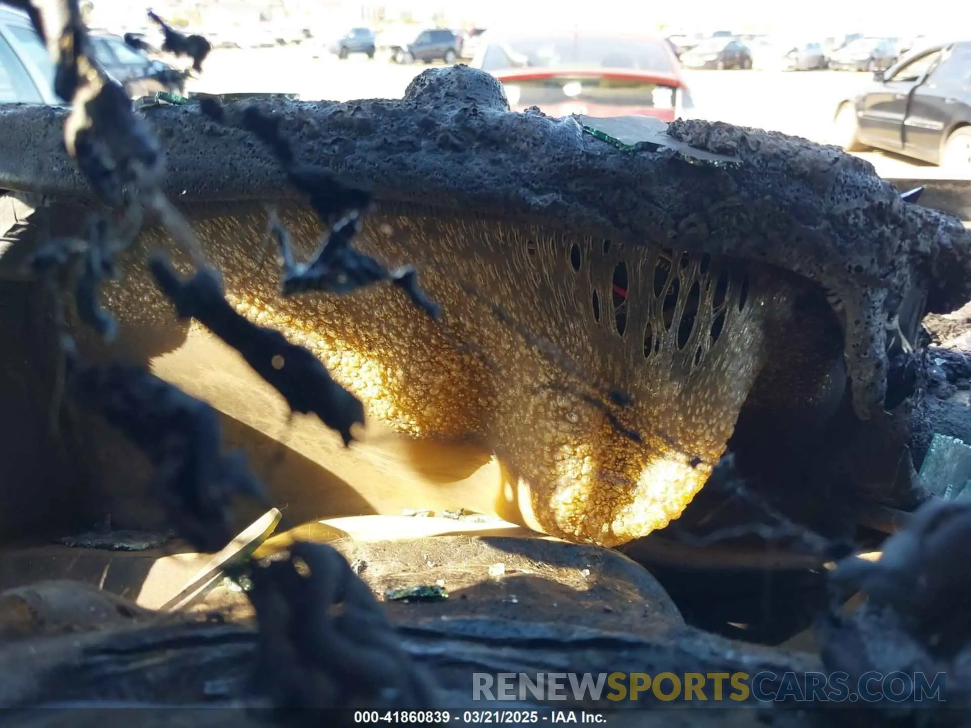 14 Photograph of a damaged car 1GCRWCEK5KZ306806 CHEVROLET SILVERADO 1500 2019