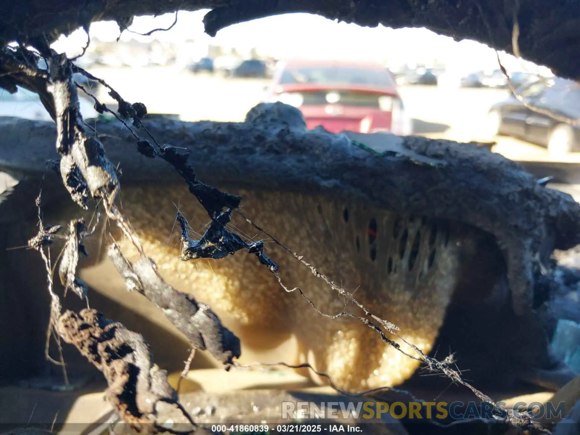 7 Photograph of a damaged car 1GCRWCEK5KZ306806 CHEVROLET SILVERADO 1500 2019
