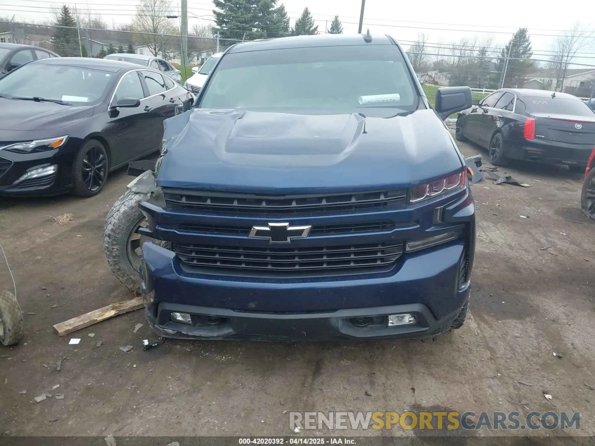 12 Photograph of a damaged car 1GCUYEED5KZ216511 CHEVROLET SILVERADO 1500 2019