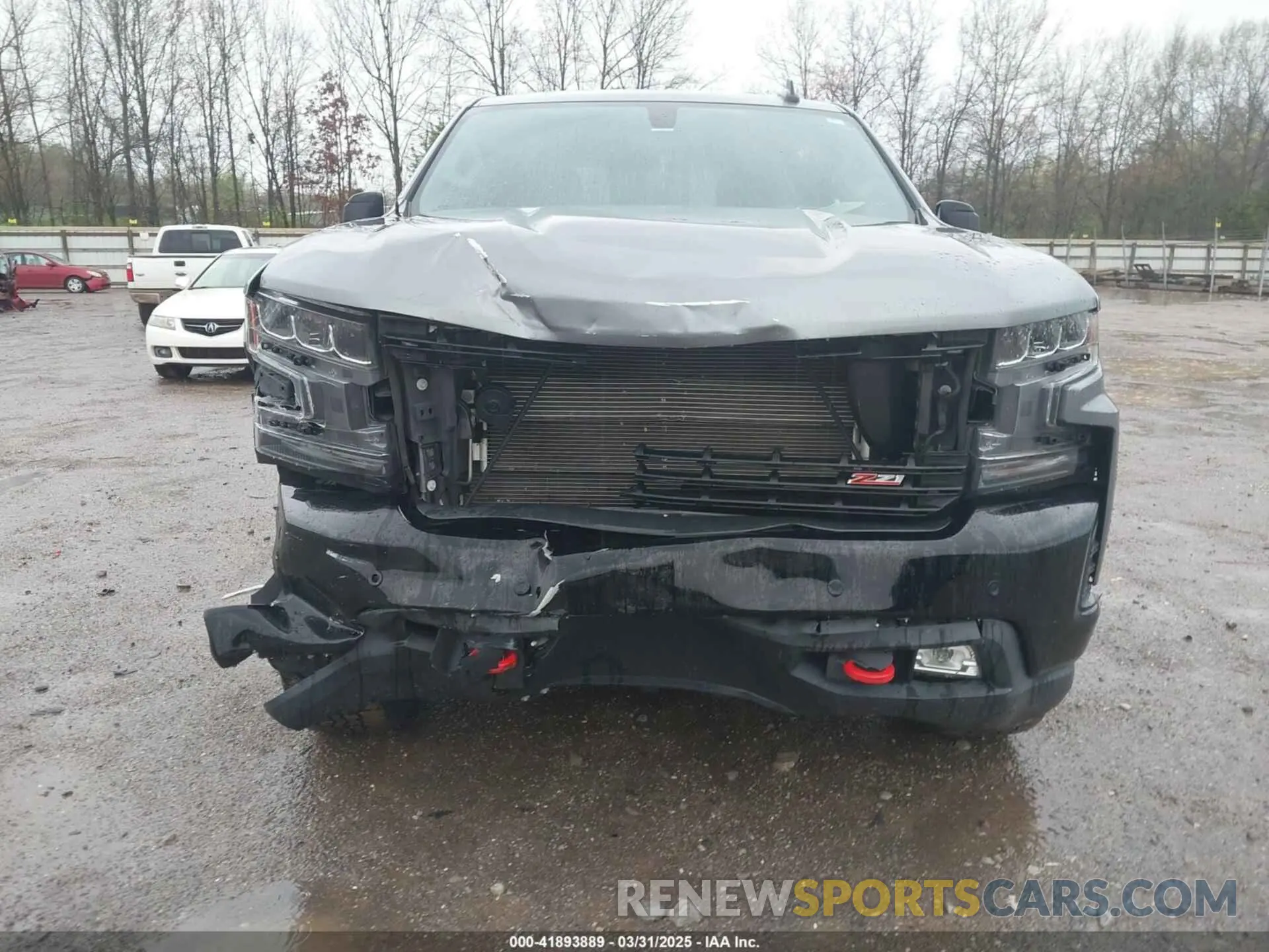 12 Photograph of a damaged car 3GCPYFED8KG144612 CHEVROLET SILVERADO 1500 2019