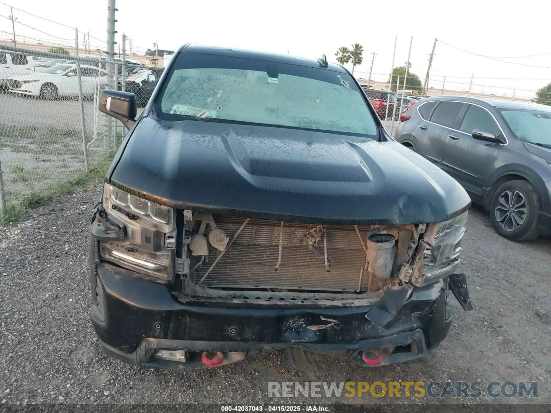 11 Photograph of a damaged car 1GCPYFEL2LZ279173 CHEVROLET SILVERADO 1500 2020
