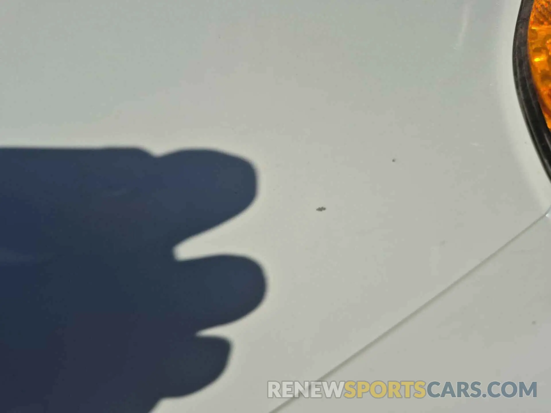 19 Photograph of a damaged car 1GCRYAEFXLZ210303 CHEVROLET SILVERADO 1500 2020
