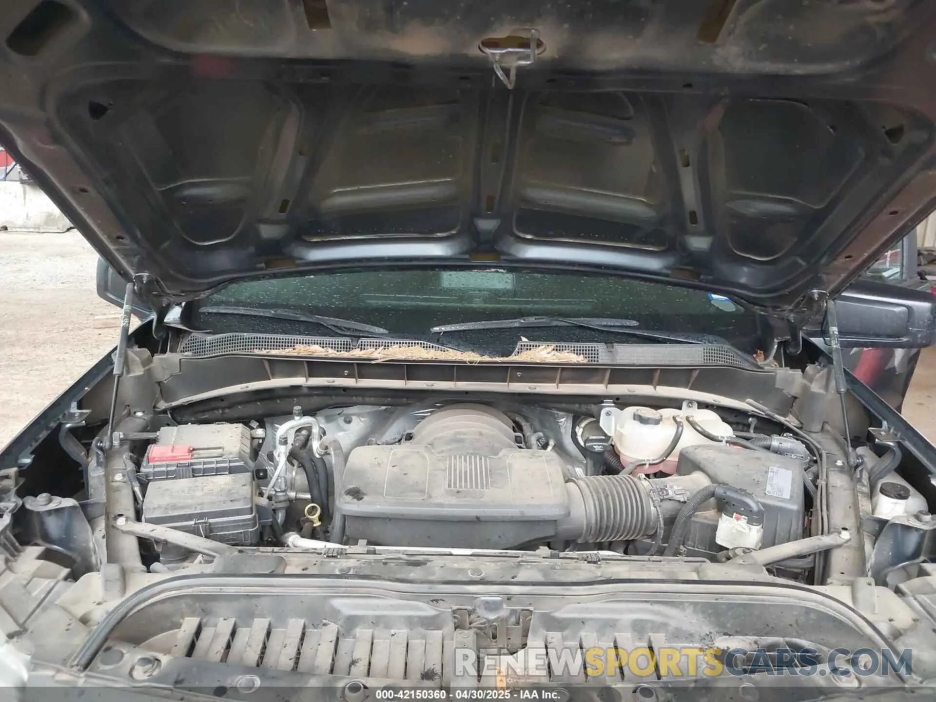 10 Photograph of a damaged car 1GCPYCEF8MZ363802 CHEVROLET SILVERADO 1500 2021