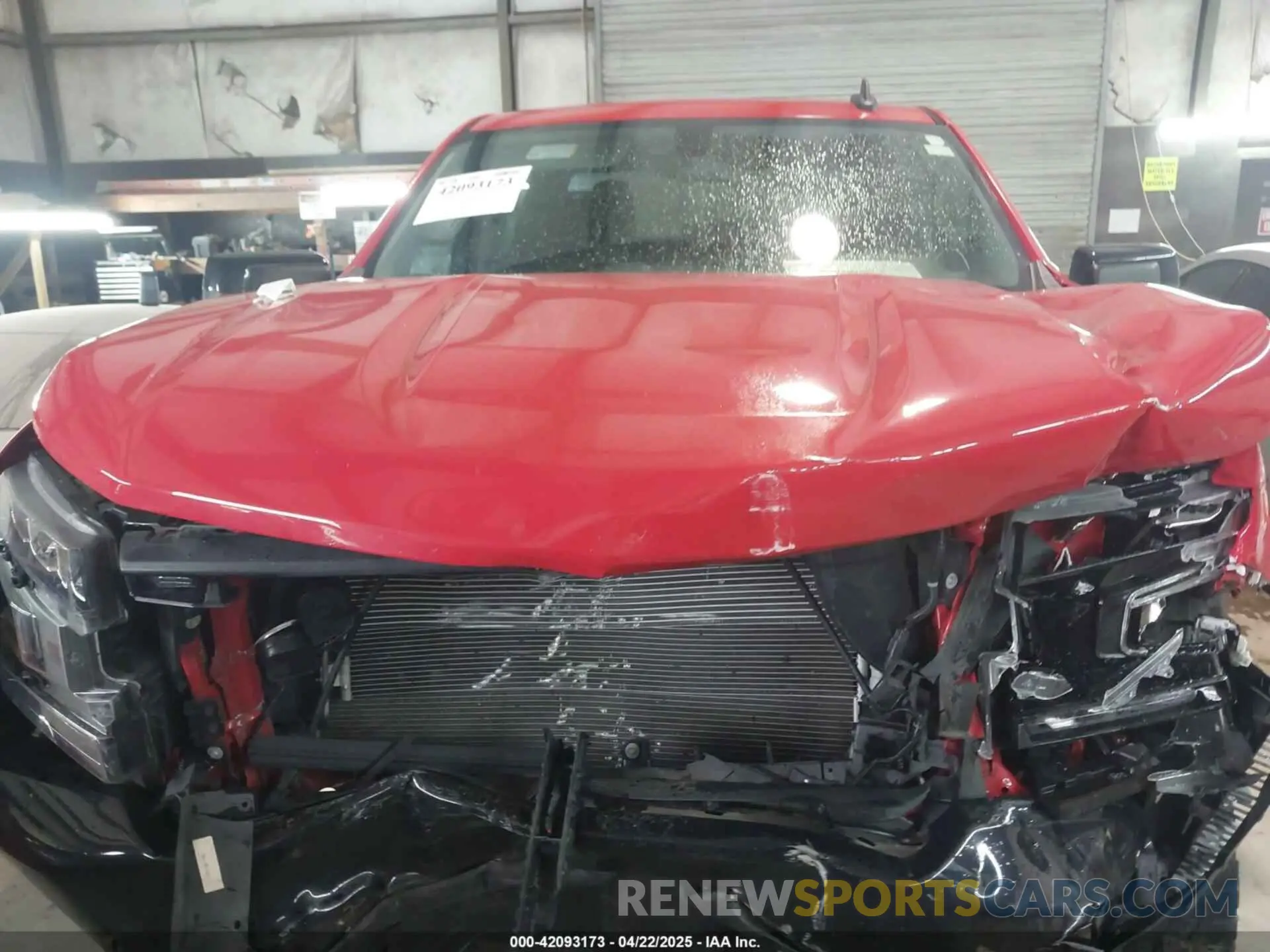 12 Photograph of a damaged car 1GCPYFED7MZ445729 CHEVROLET SILVERADO 1500 2021