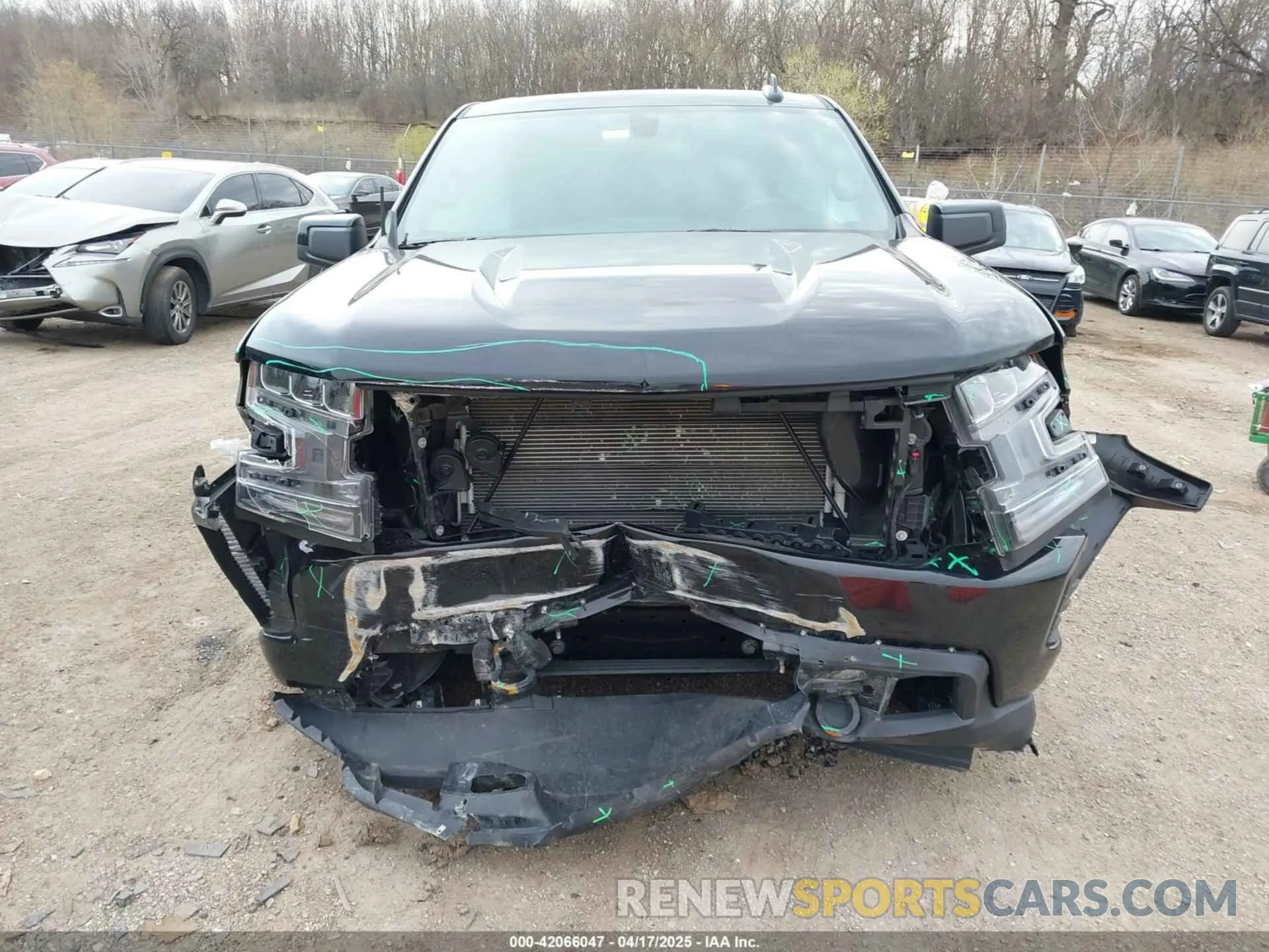 12 Photograph of a damaged car 1GCUYEED9MZ419064 CHEVROLET SILVERADO 1500 2021