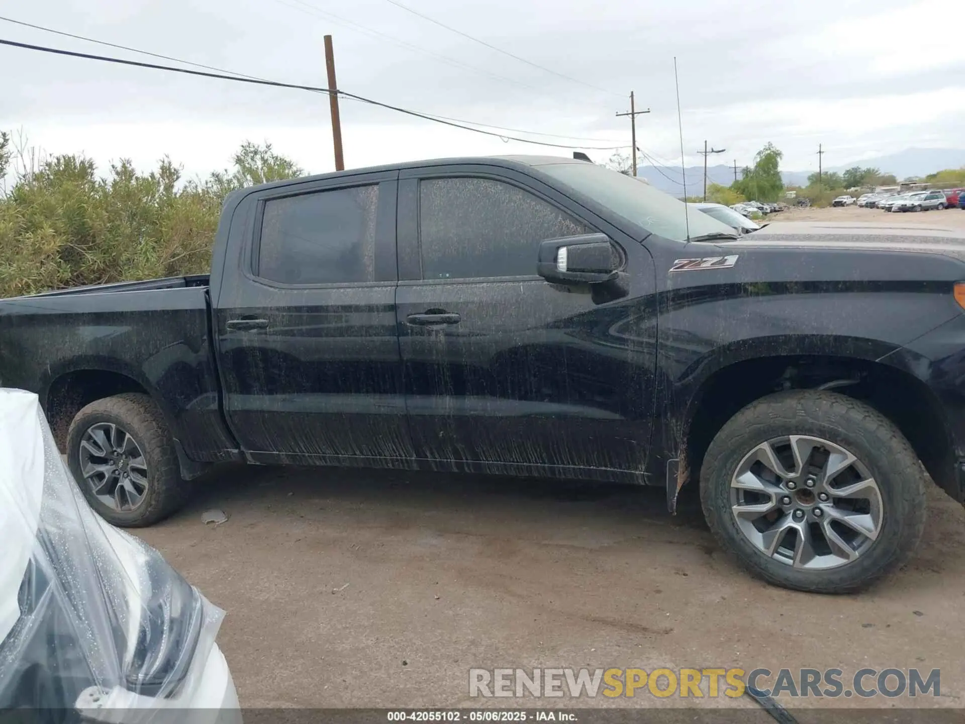 12 Photograph of a damaged car 3GCPWEED3MG432055 CHEVROLET SILVERADO 1500 2021