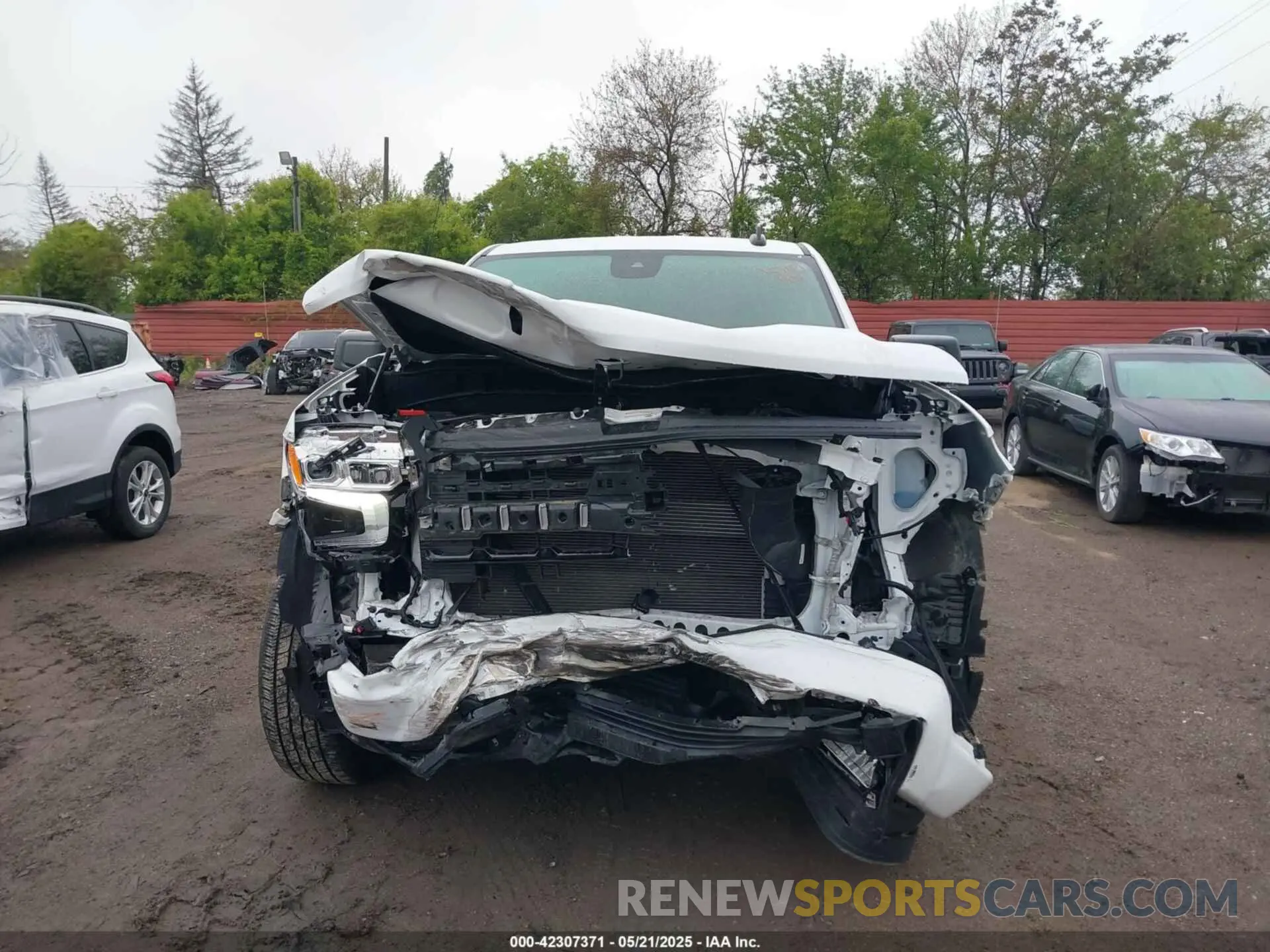 12 Photograph of a damaged car 1GCRDEED5NZ554707 CHEVROLET SILVERADO 1500 2022