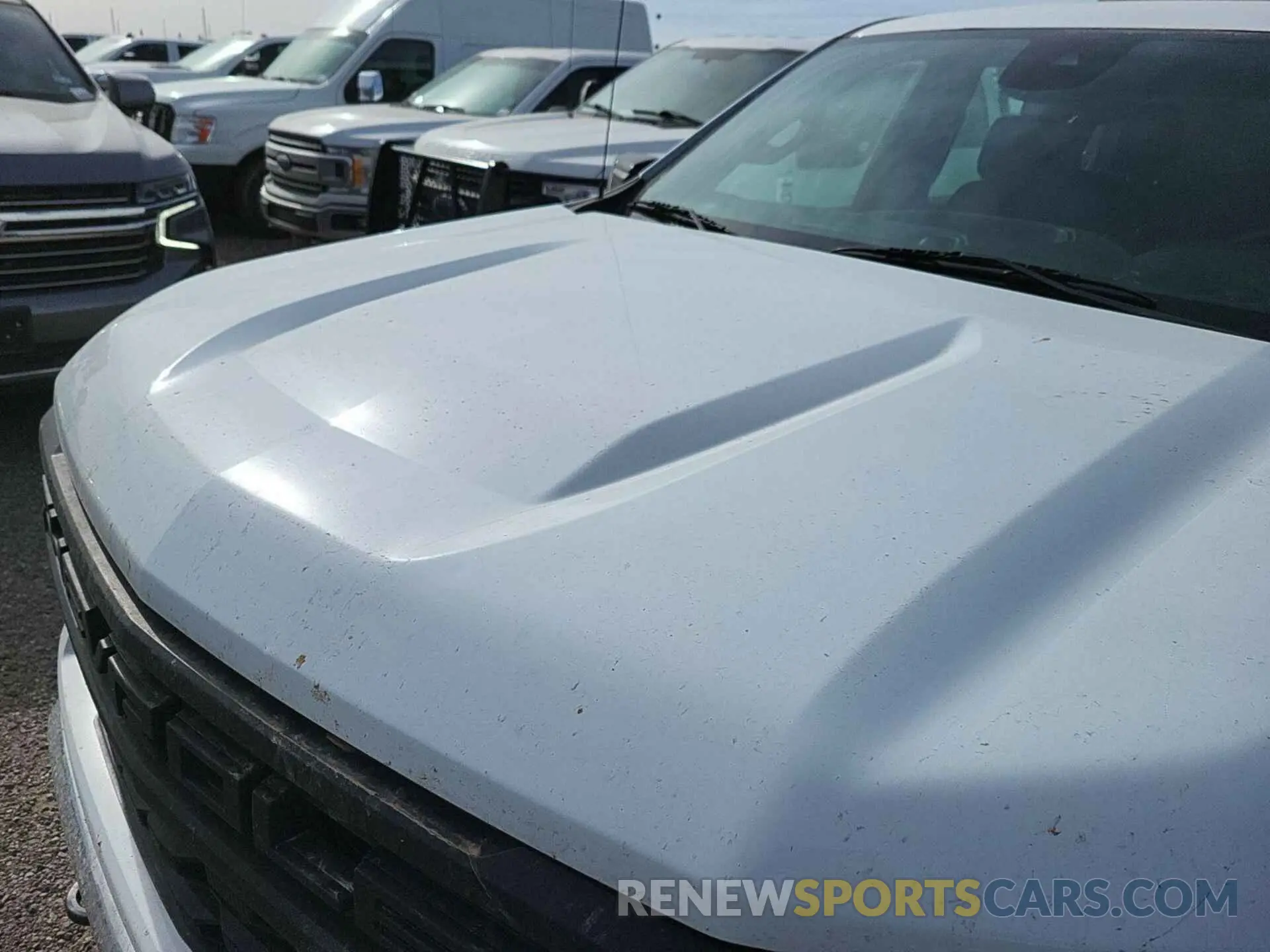 16 Photograph of a damaged car 1GCUDAED4NZ525590 CHEVROLET SILVERADO 1500 2022