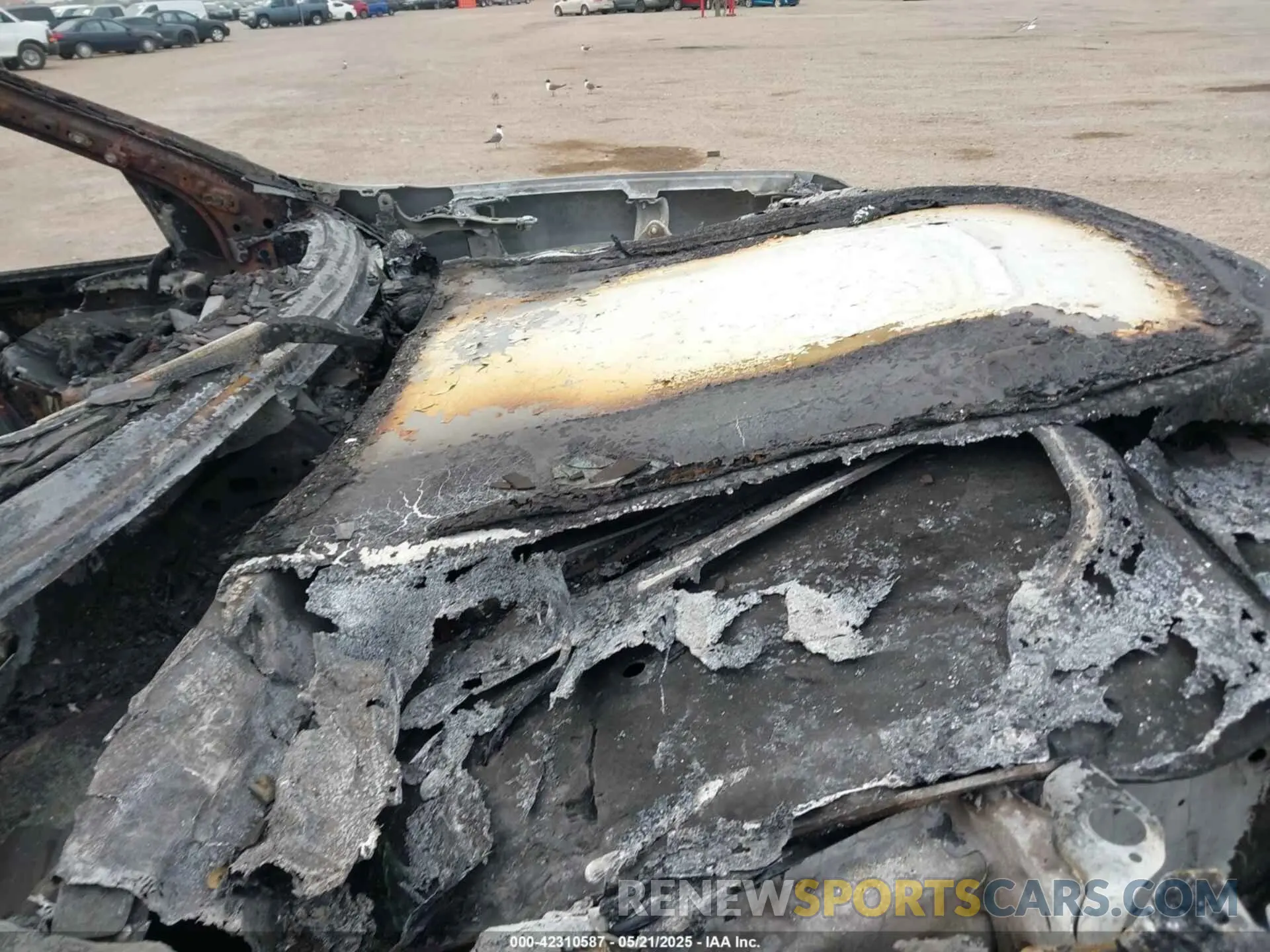 10 Photograph of a damaged car 1GCUDGE82PZ228598 CHEVROLET SILVERADO 1500 2023