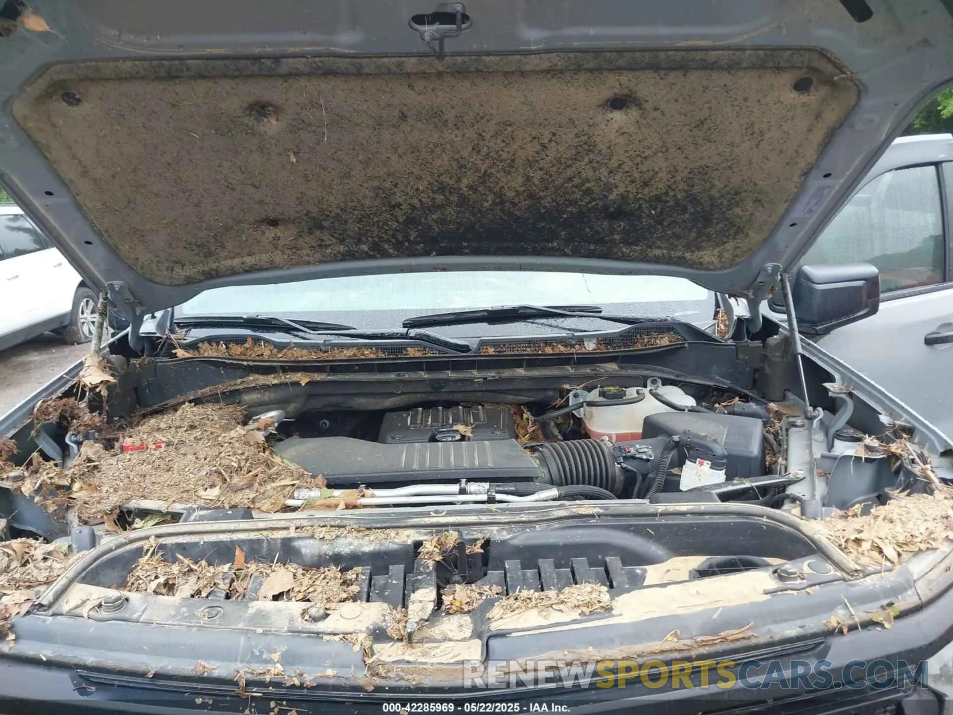 10 Photograph of a damaged car 3GCPDCEK2RG197468 CHEVROLET SILVERADO 1500 2024