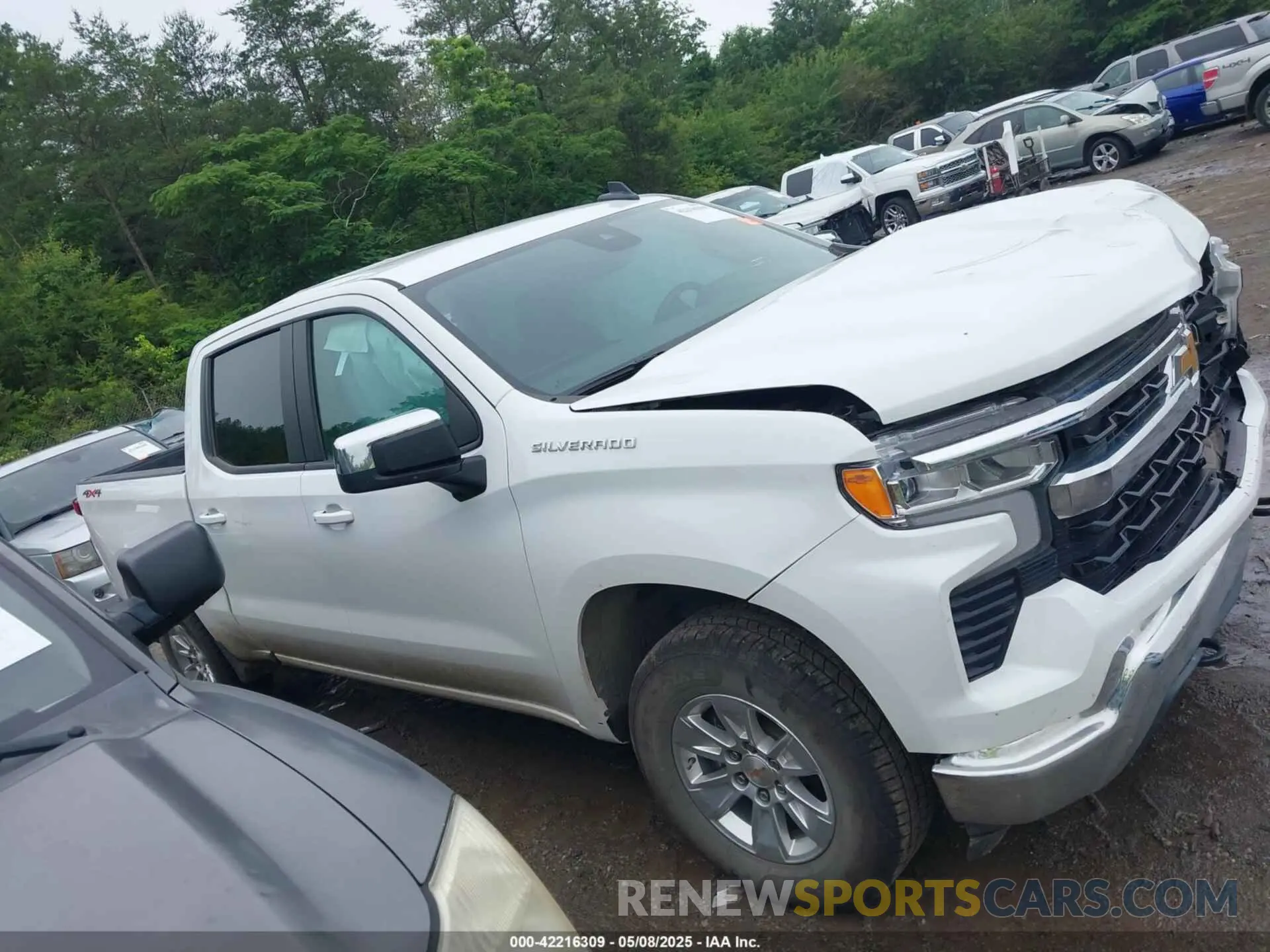 12 Photograph of a damaged car 1GCUKDED4SZ123636 CHEVROLET SILVERADO 1500 2025