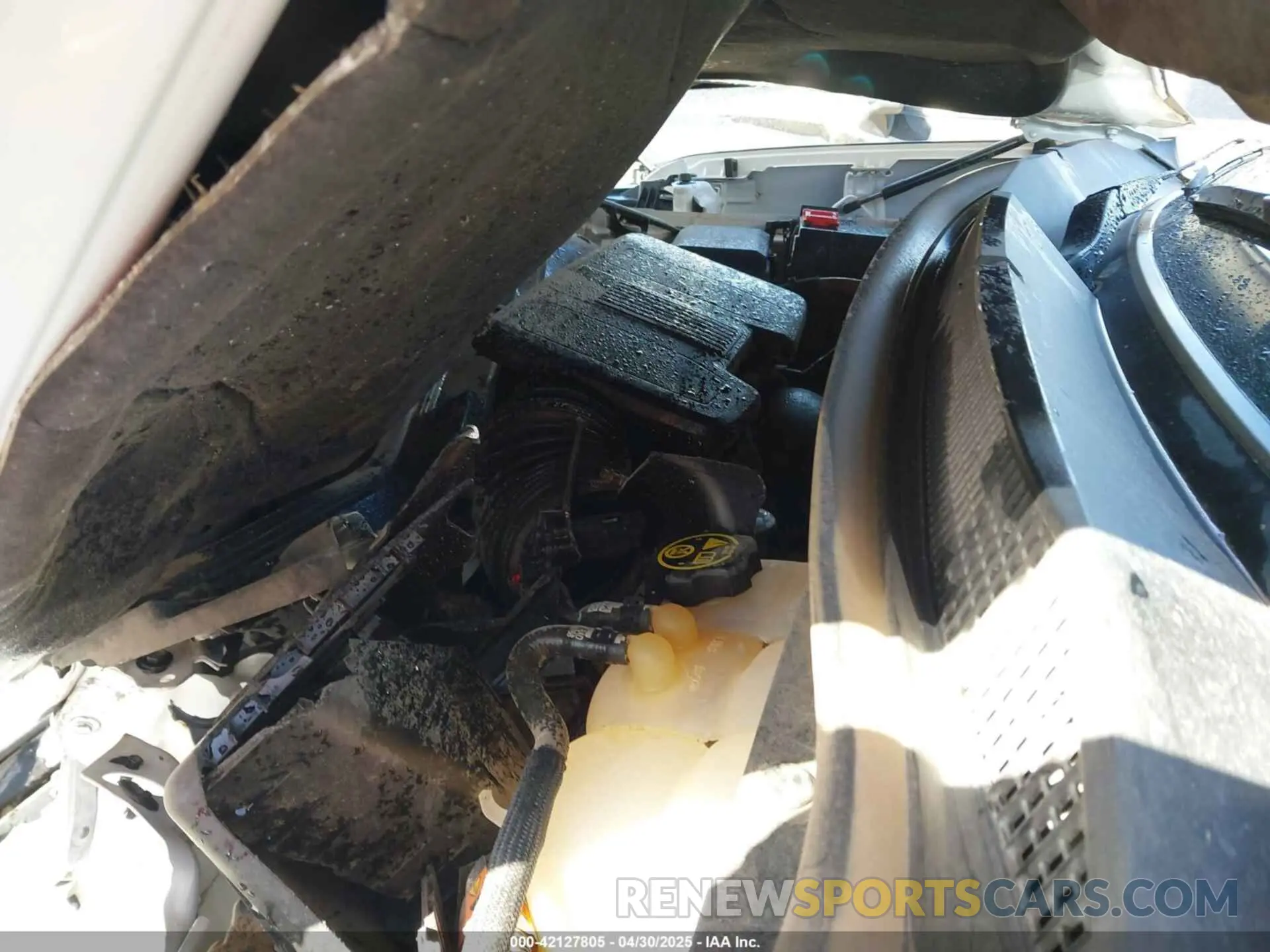 10 Photograph of a damaged car 1GCPWCED1NZ215139 CHEVROLET SILVERADO 1500 LTD 2022