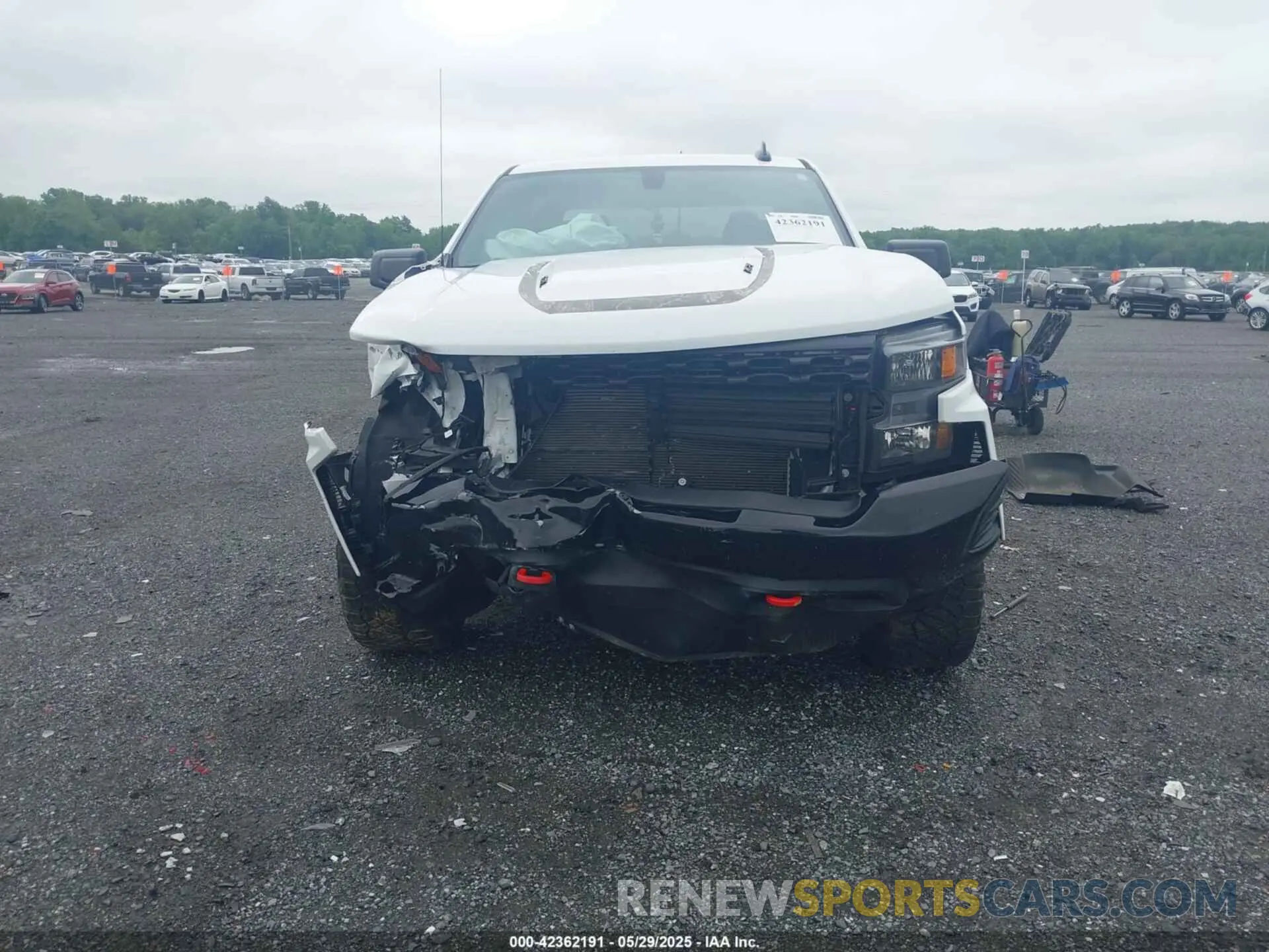 12 Photograph of a damaged car 3GCPYCEL6NG108492 CHEVROLET SILVERADO 1500 LTD 2022