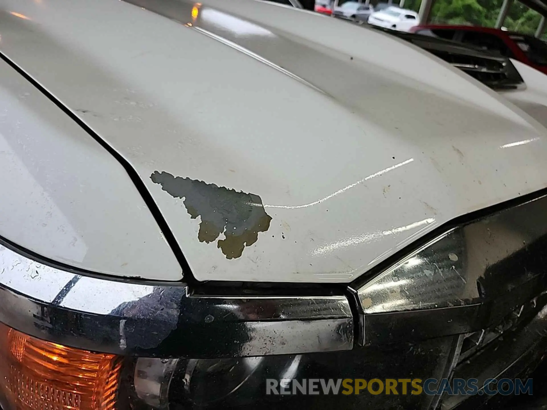 5 Photograph of a damaged car 1GB4KVCY6KF175609 CHEVROLET SILVERADO 2019