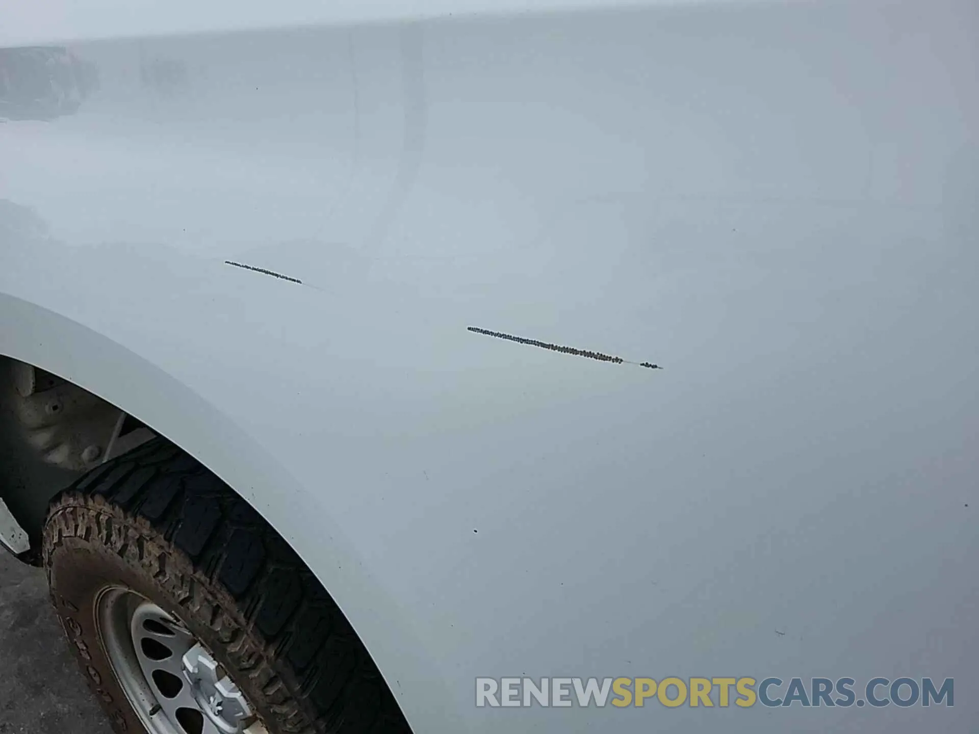 3 Photograph of a damaged car 1GCRYAEF8KZ369688 CHEVROLET SILVERADO 2019