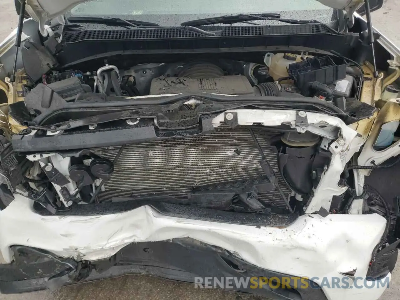 12 Photograph of a damaged car 1GCRYBEF5KZ344205 CHEVROLET SILVERADO 2019