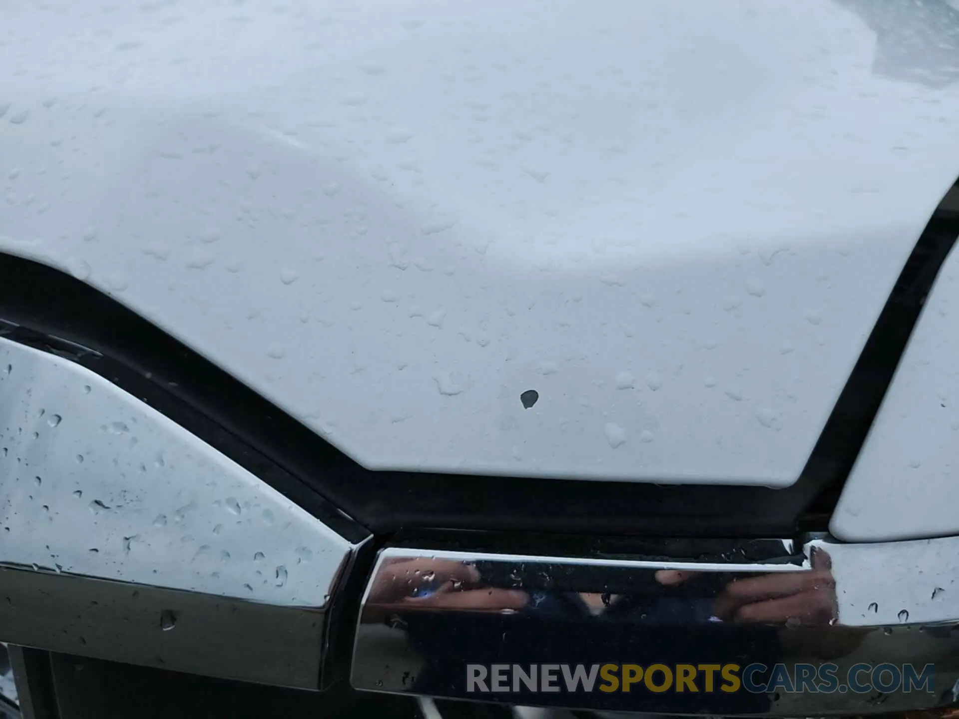 13 Photograph of a damaged car 2GC2KREG8K1118401 CHEVROLET SILVERADO 2019