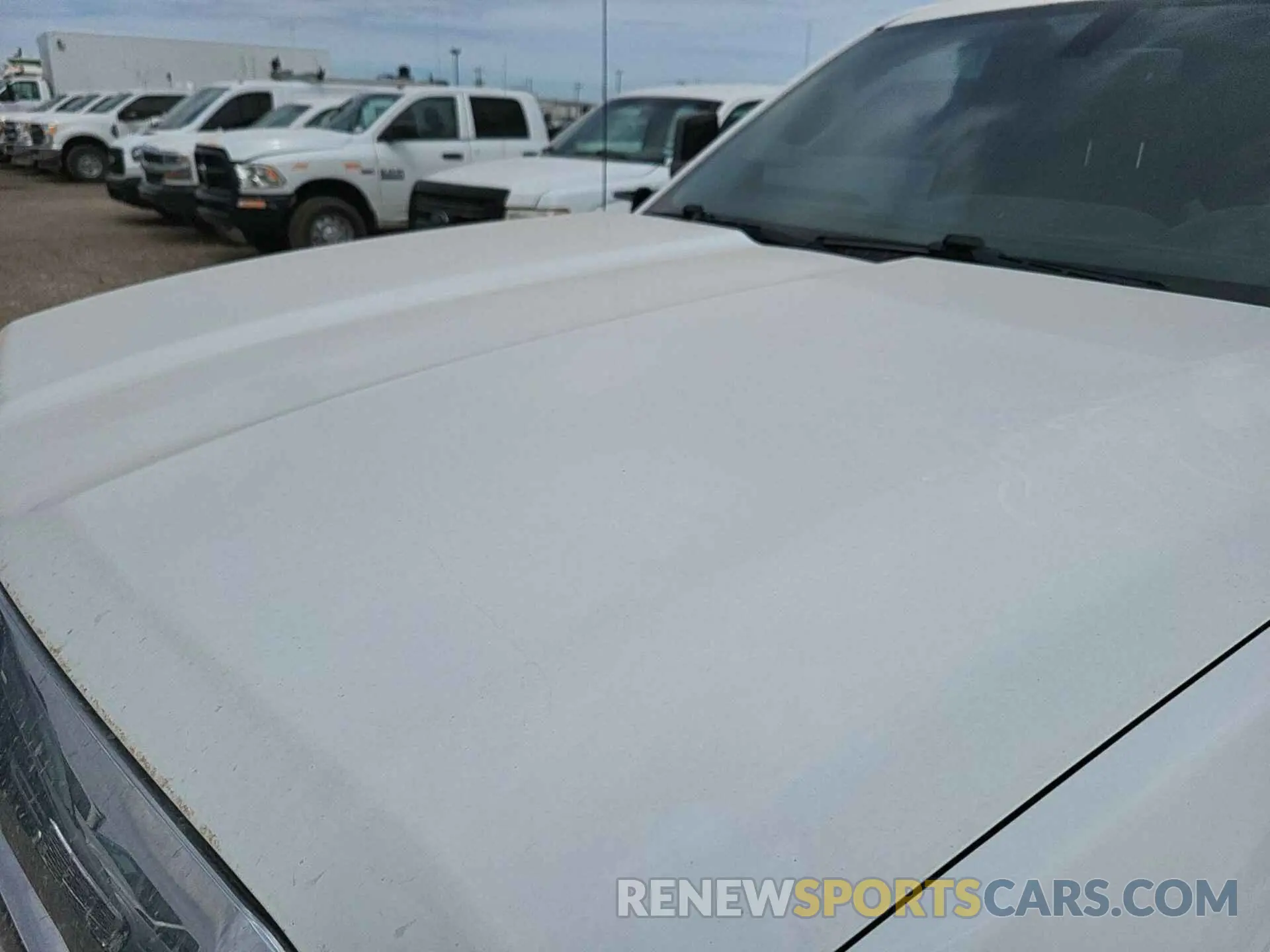11 Photograph of a damaged car 2GC2KSEG2K1159212 CHEVROLET SILVERADO 2019