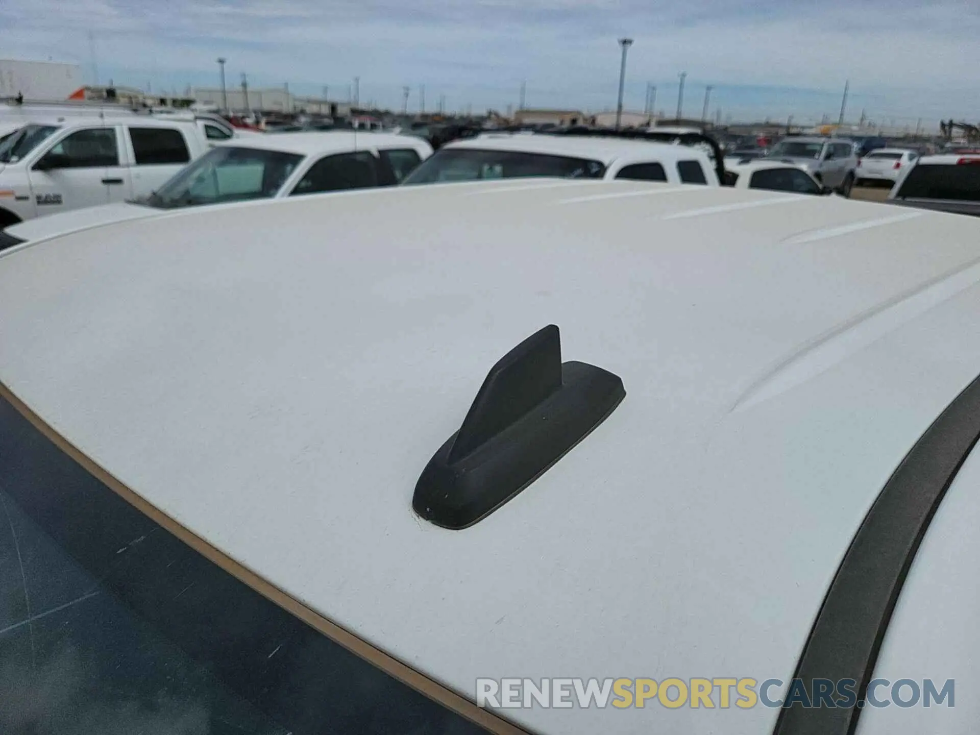 4 Photograph of a damaged car 2GC2KSEG2K1159212 CHEVROLET SILVERADO 2019