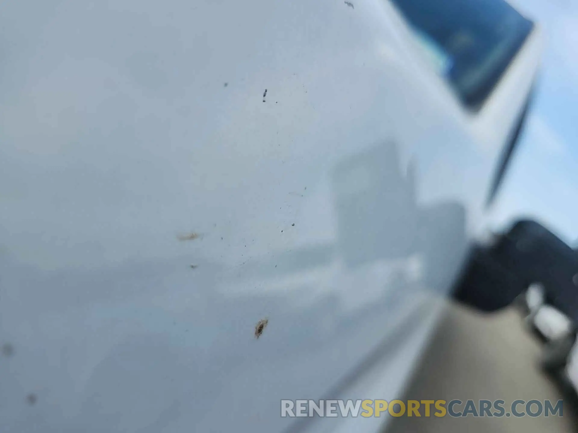 12 Photograph of a damaged car 1GC1YLE74LF160453 CHEVROLET SILVERADO 2020
