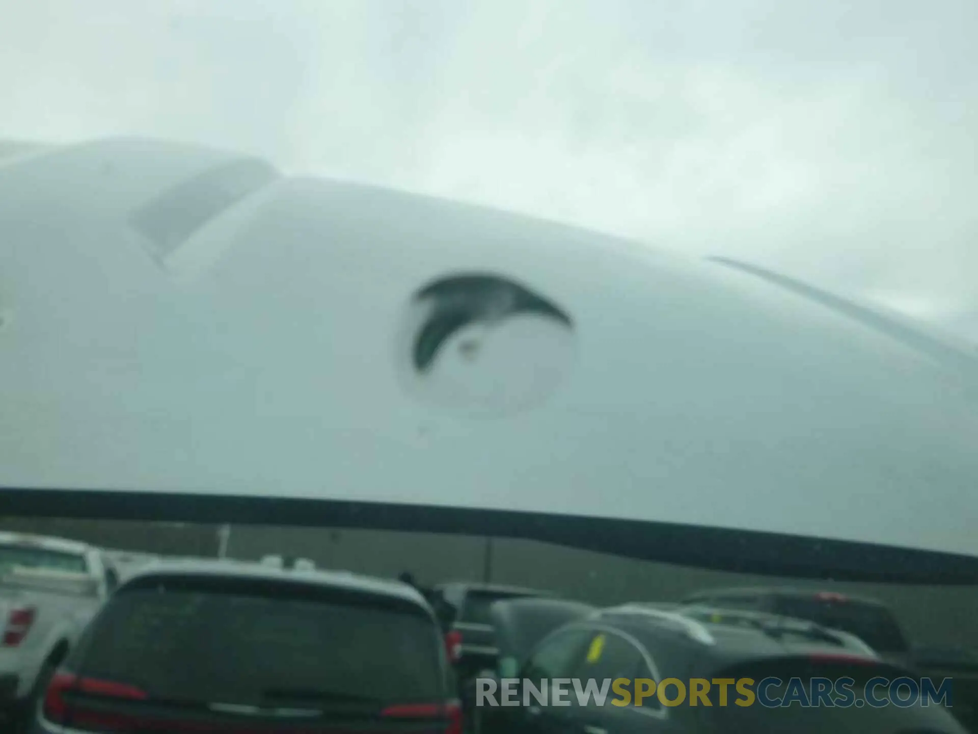 5 Photograph of a damaged car 1GC1YNE70LF249562 CHEVROLET SILVERADO 2020