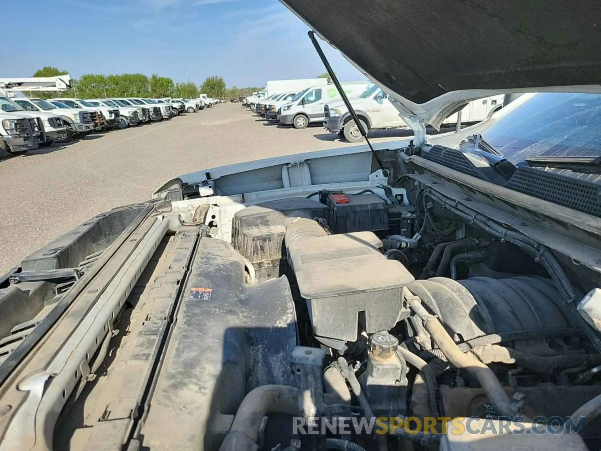 5 Photograph of a damaged car 1GC1YNE73LF199904 CHEVROLET SILVERADO 2020