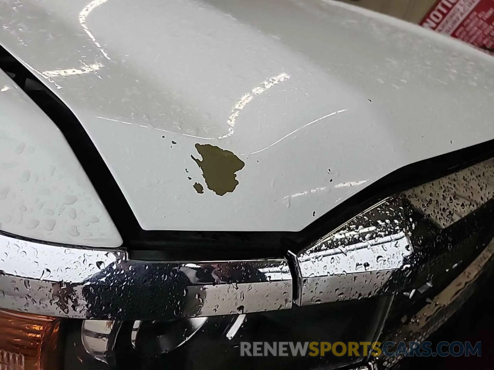 13 Photograph of a damaged car 1GC1KSEG4KF189638 CHEVROLET SILVERADO 2500HD 2019