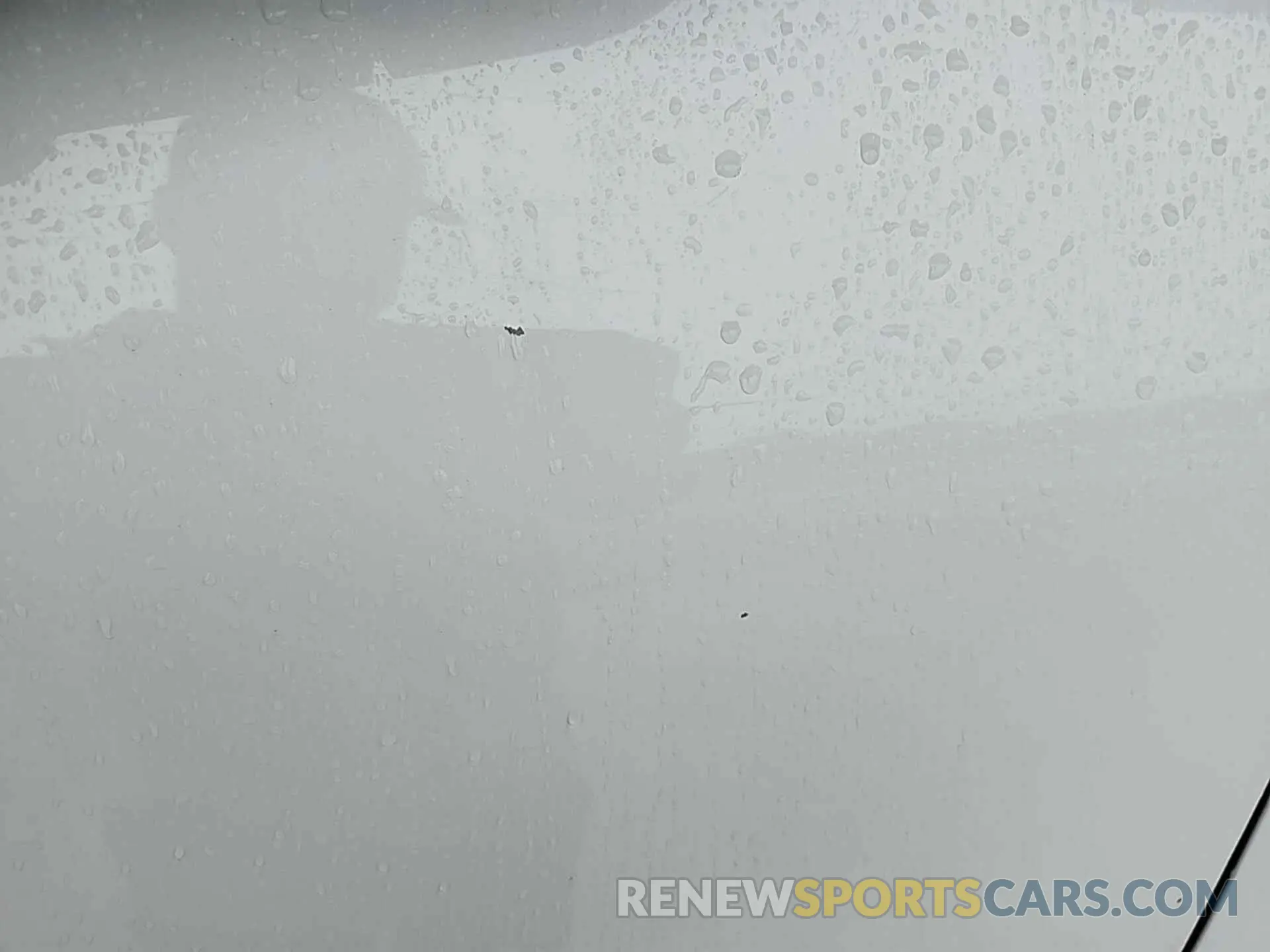 15 Photograph of a damaged car 1GC1KSEG4KF189638 CHEVROLET SILVERADO 2500HD 2019