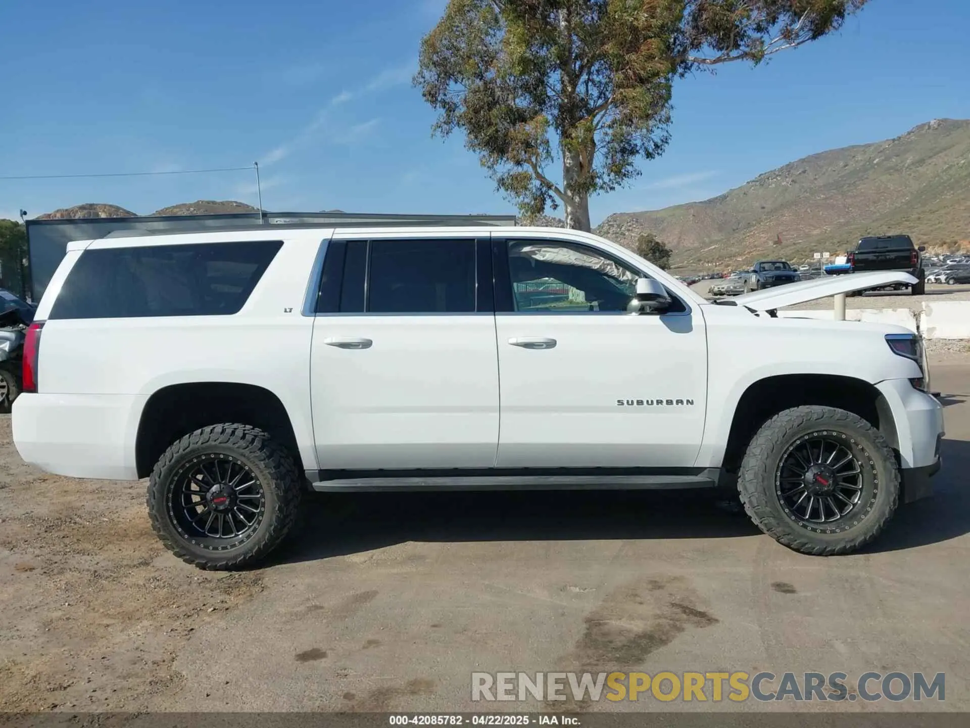 13 Photograph of a damaged car 1GNSCHKC3KR206425 CHEVROLET SUBURBAN 2019