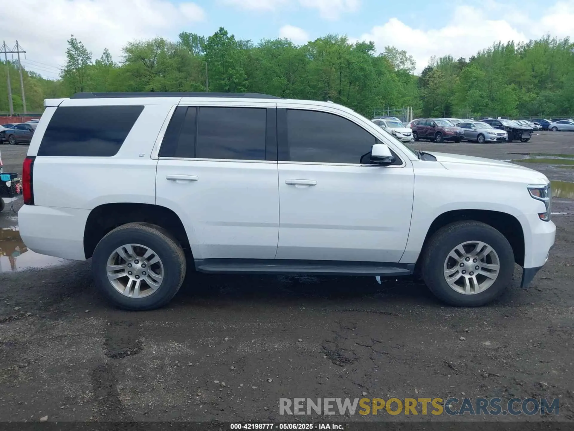 13 Photograph of a damaged car 1GNSKBKC4KR341414 CHEVROLET TAHOE 2019