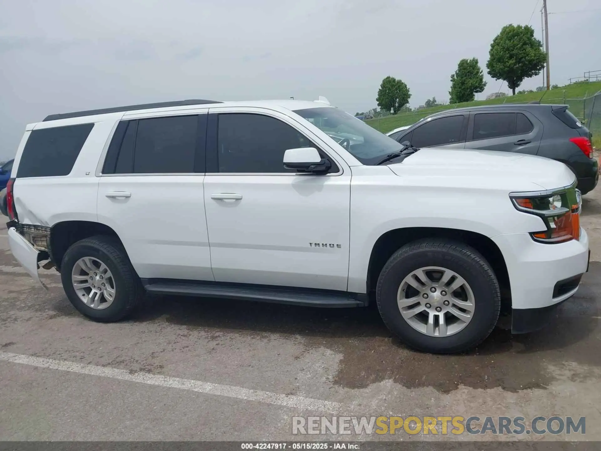 13 Photograph of a damaged car 1GNSKBKC8KR368020 CHEVROLET TAHOE 2019