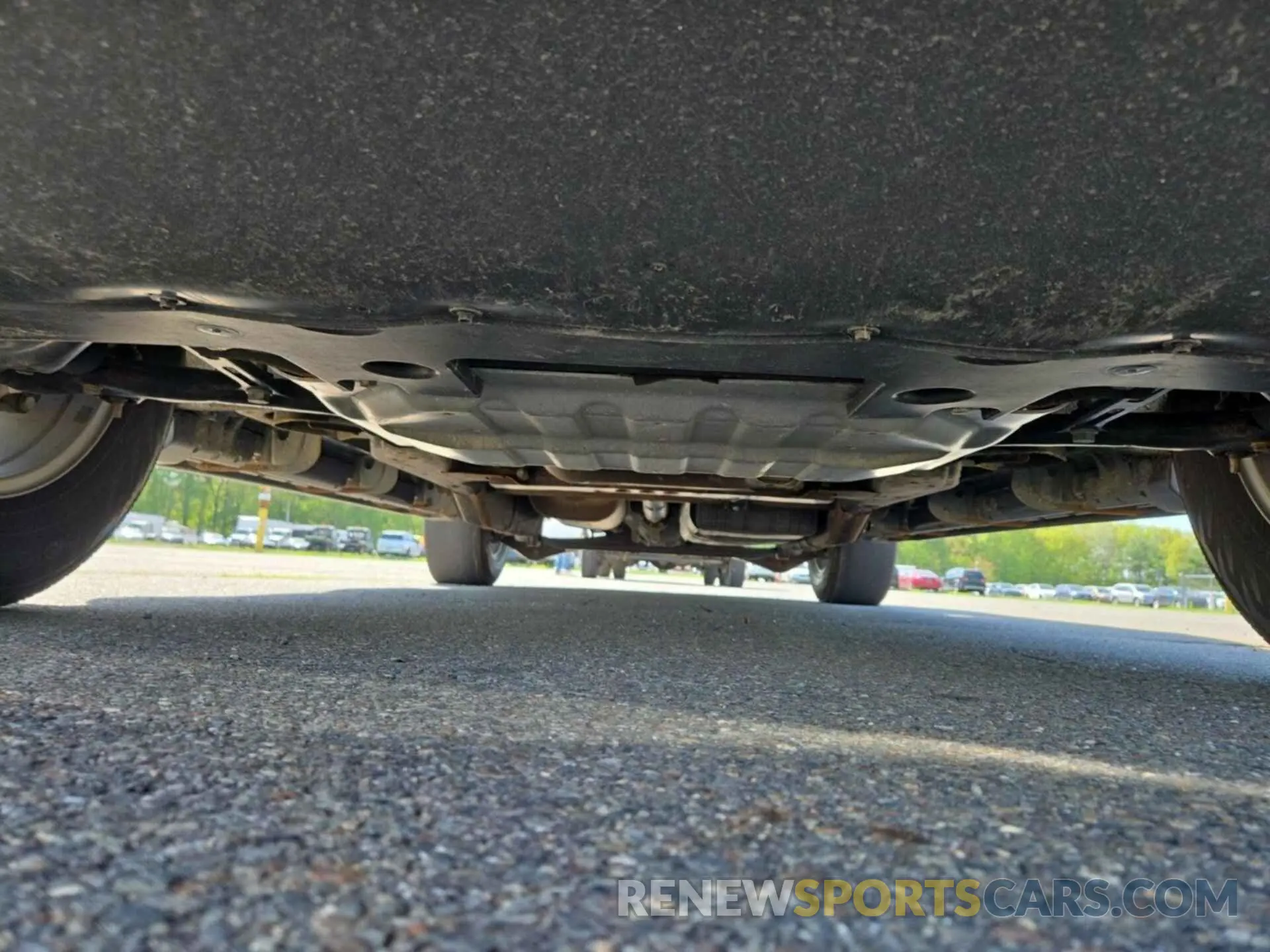 31 Photograph of a damaged car 1GNSKMKD9PR182174 CHEVROLET TAHOE 2023