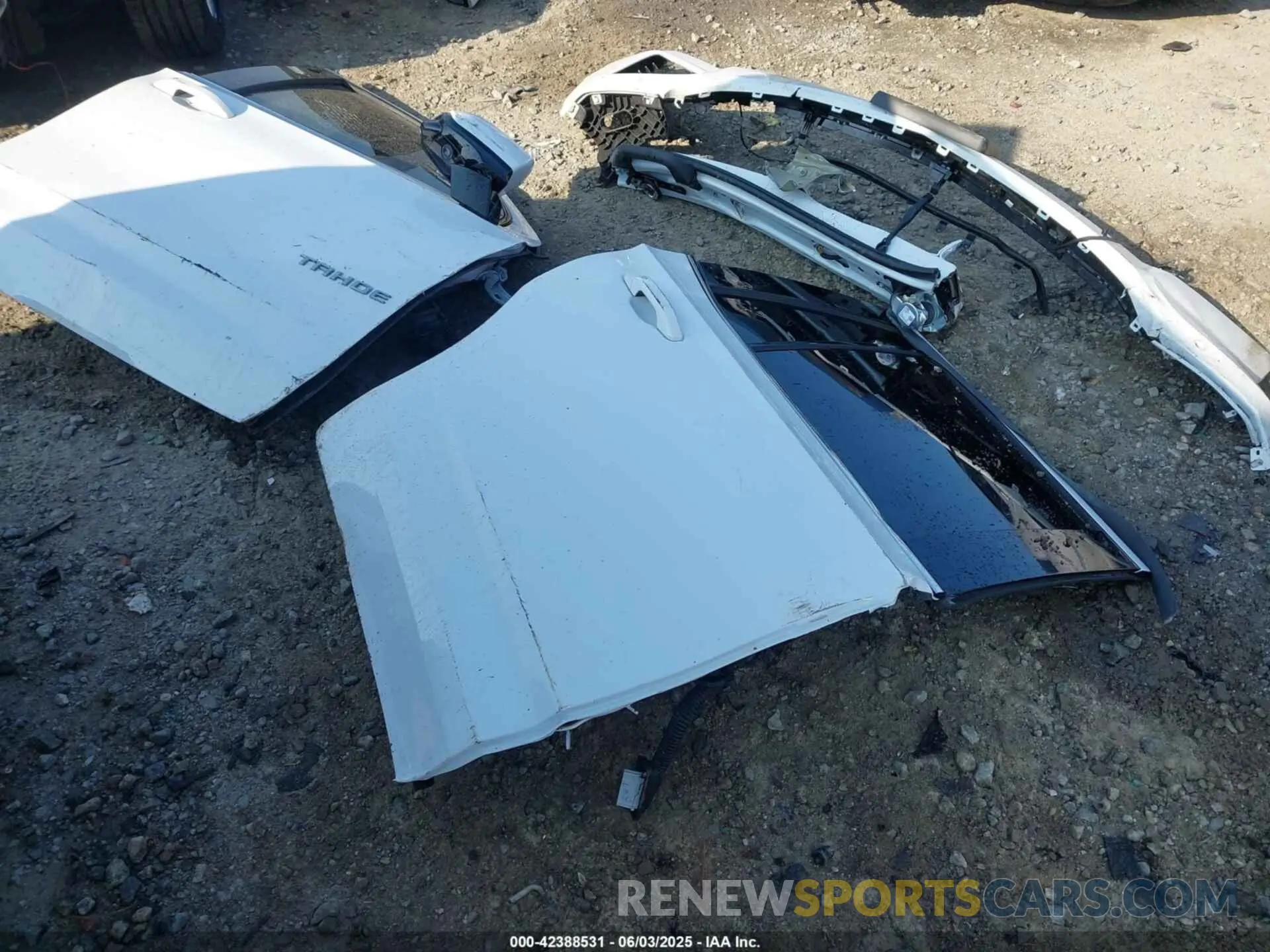 12 Photograph of a damaged car 1GNSKNKD6PR449907 CHEVROLET TAHOE 2023